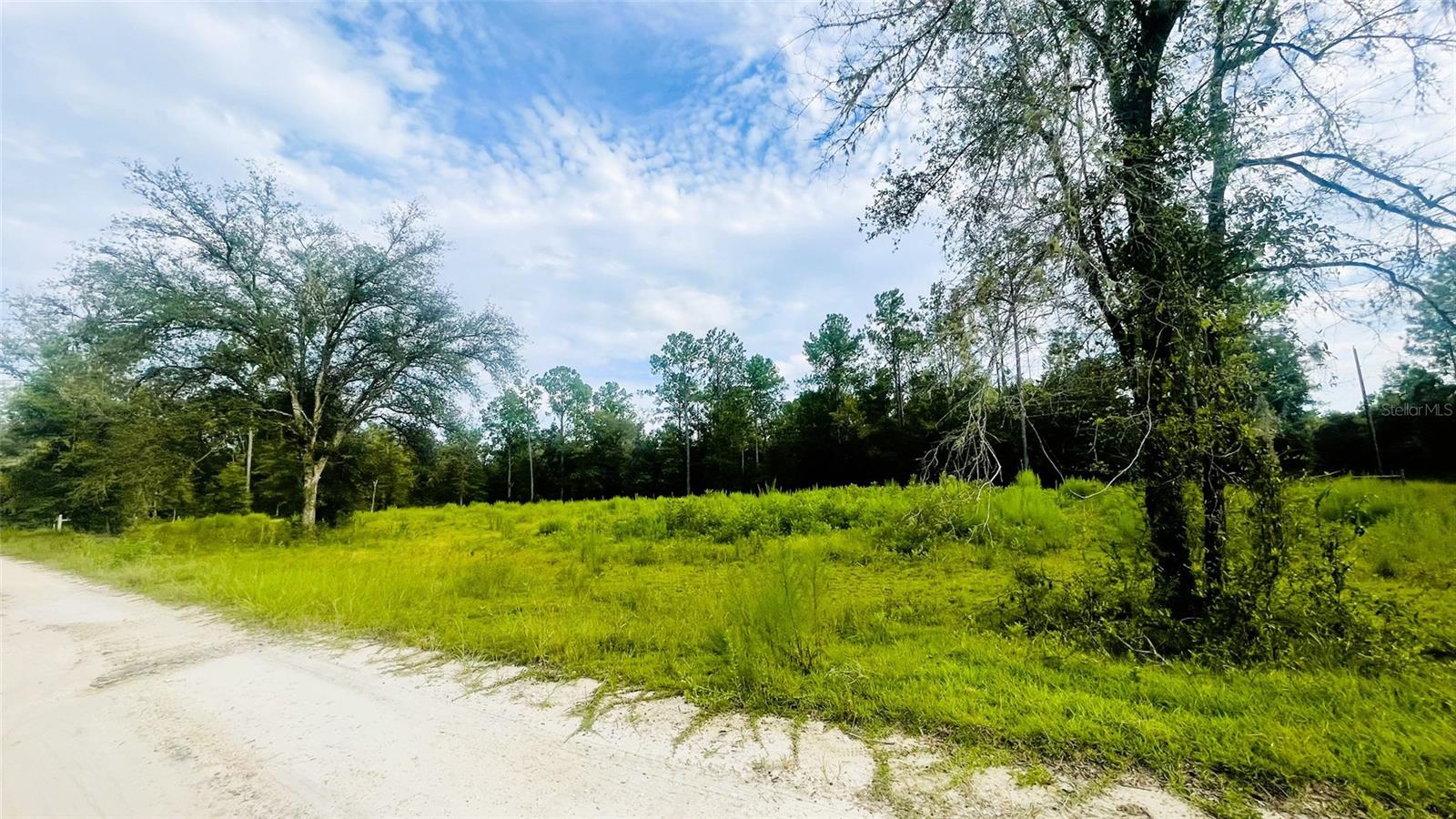 Image 3 of 5 For Lot 217 96th St