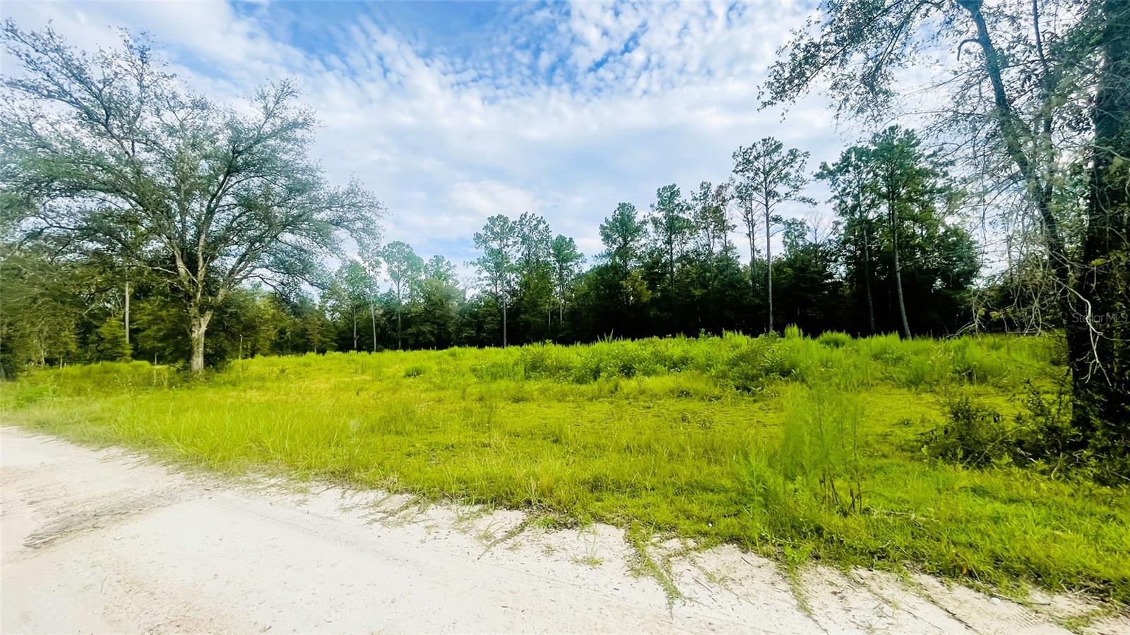 Image 4 of 5 For Lot 217 96th St
