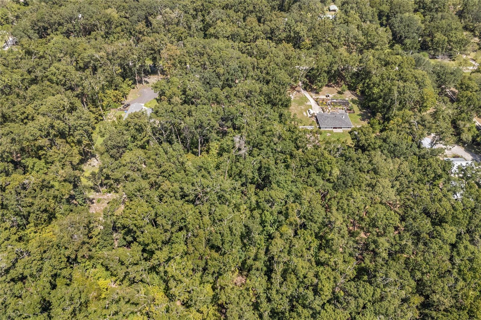 Image 26 of 26 For 476 County Road 138