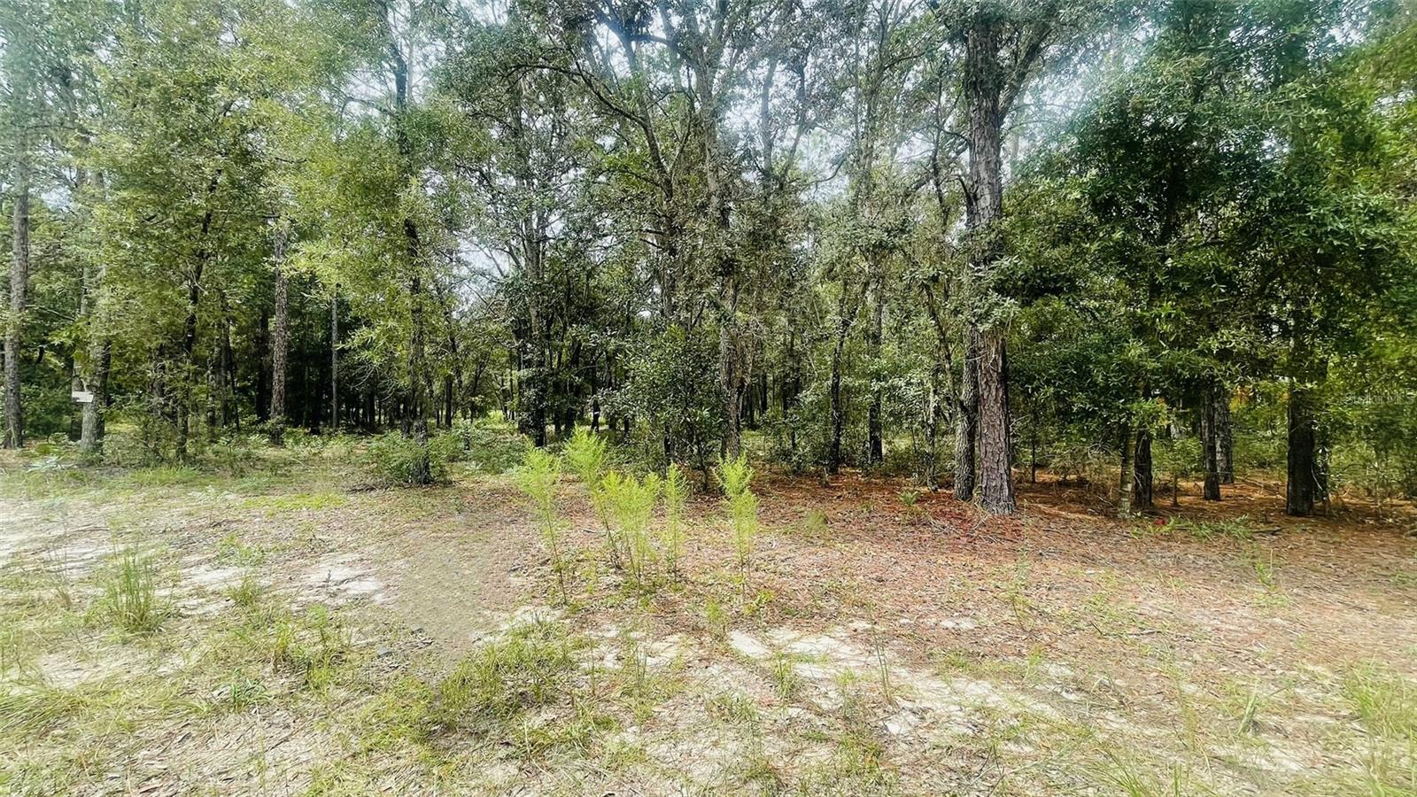 Image 3 of 6 For Lot 8 102nd Court