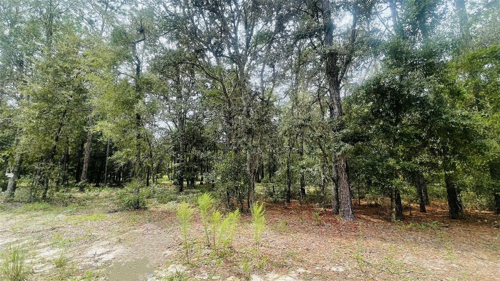 Image 4 of 6 For Lot 8 102nd Court