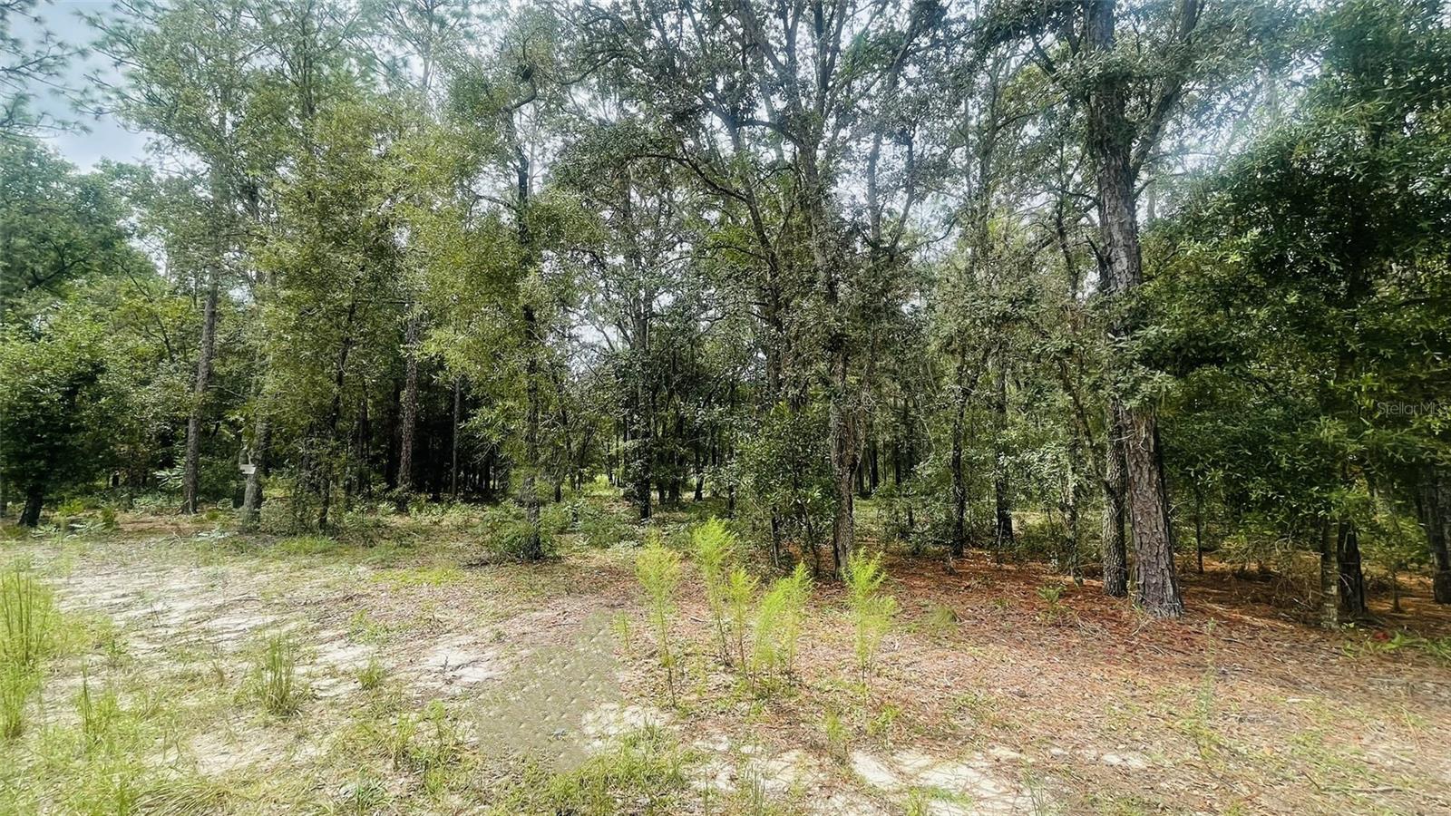 Image 5 of 6 For Lot 8 102nd Court