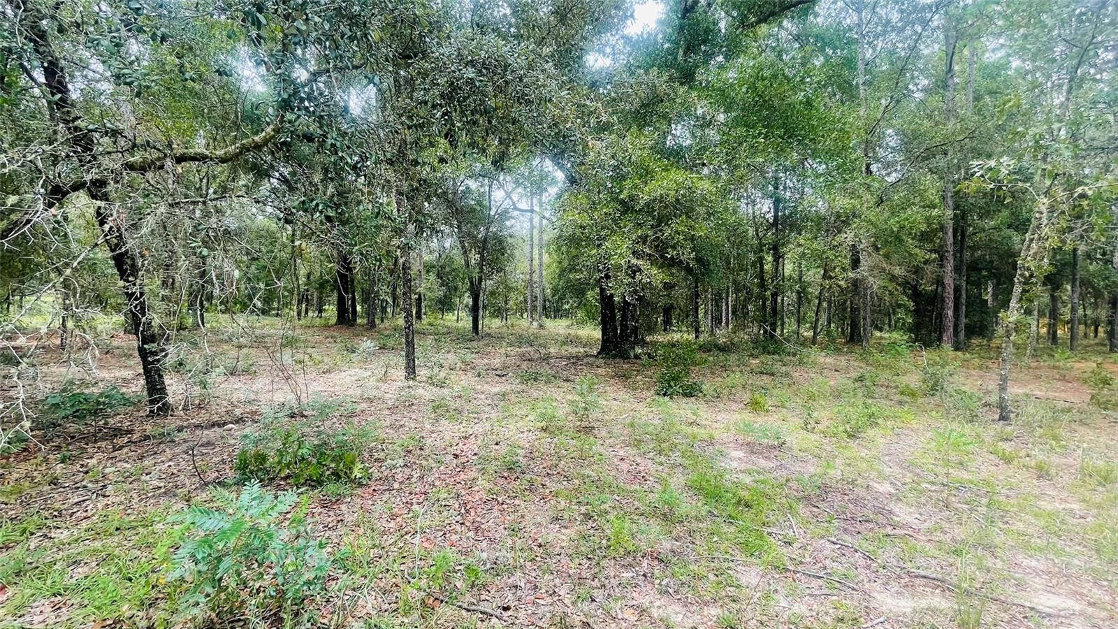 Image 2 of 5 For Lot 39 102nd Court