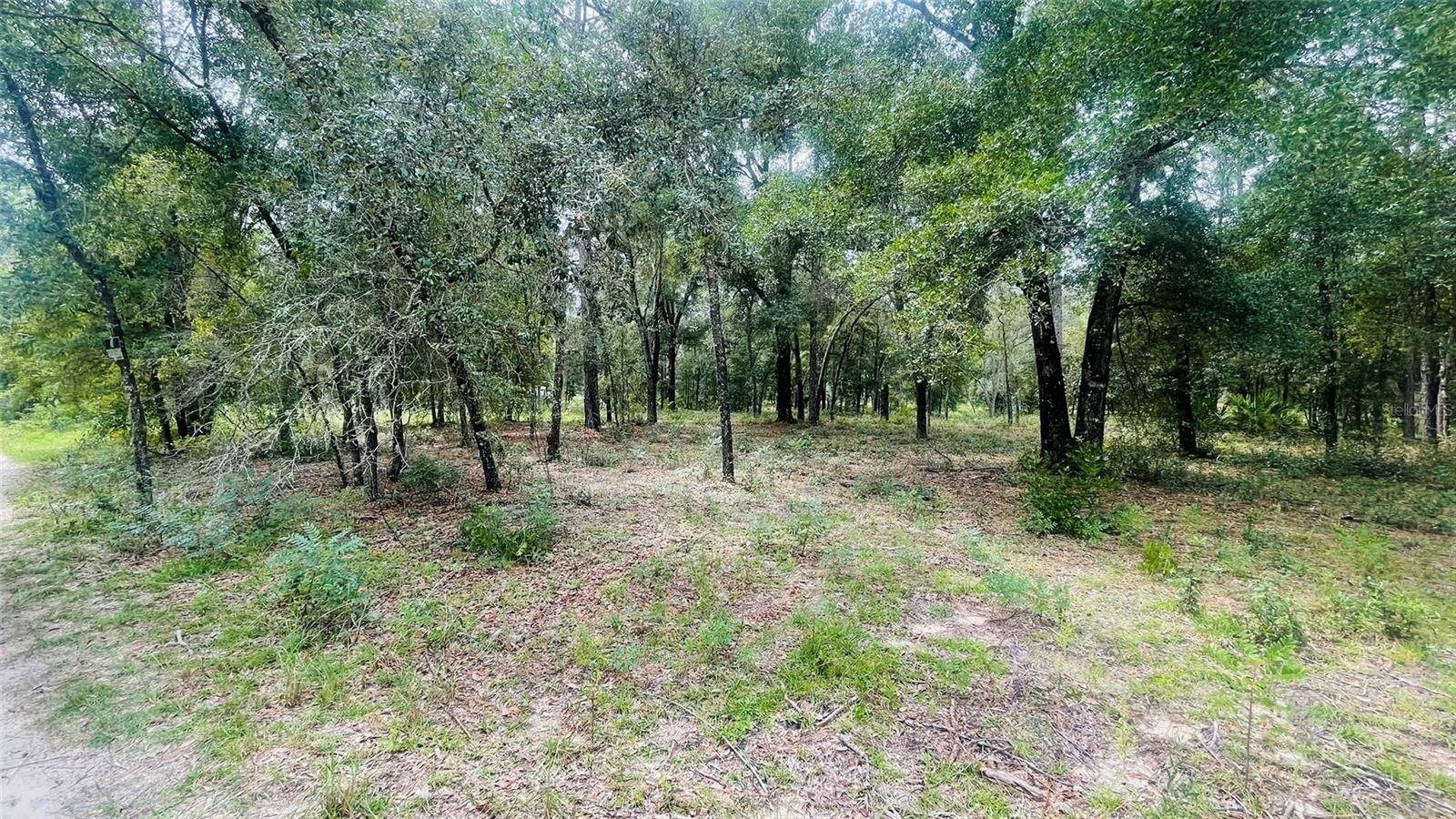 Image 4 of 5 For Lot 39 102nd Court
