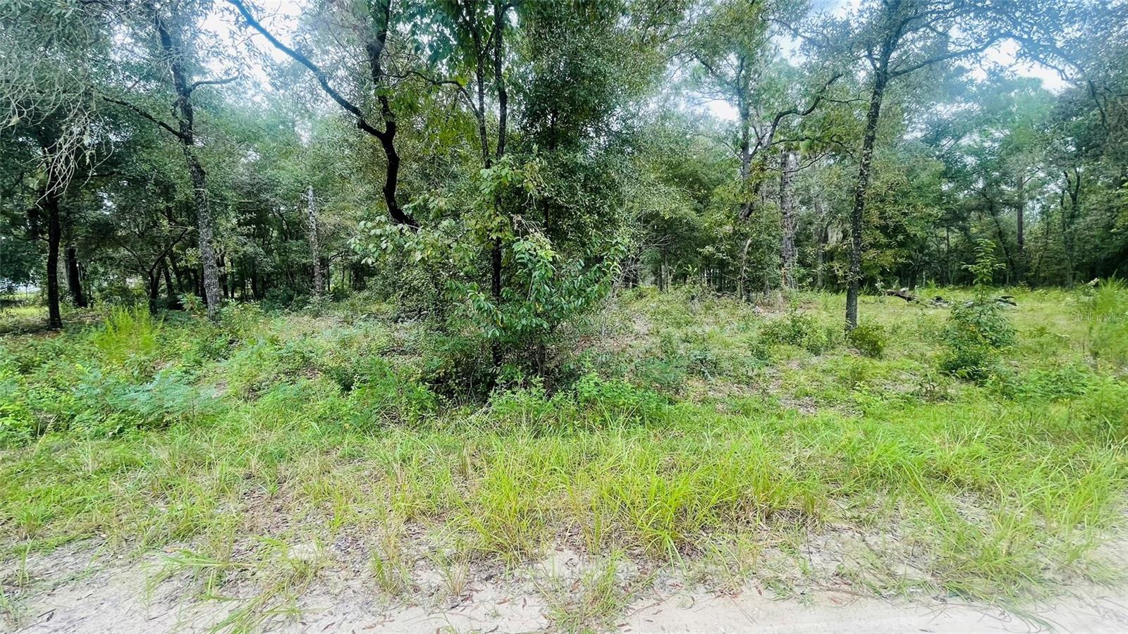 Image 2 of 6 For Lot 40 102nd Court