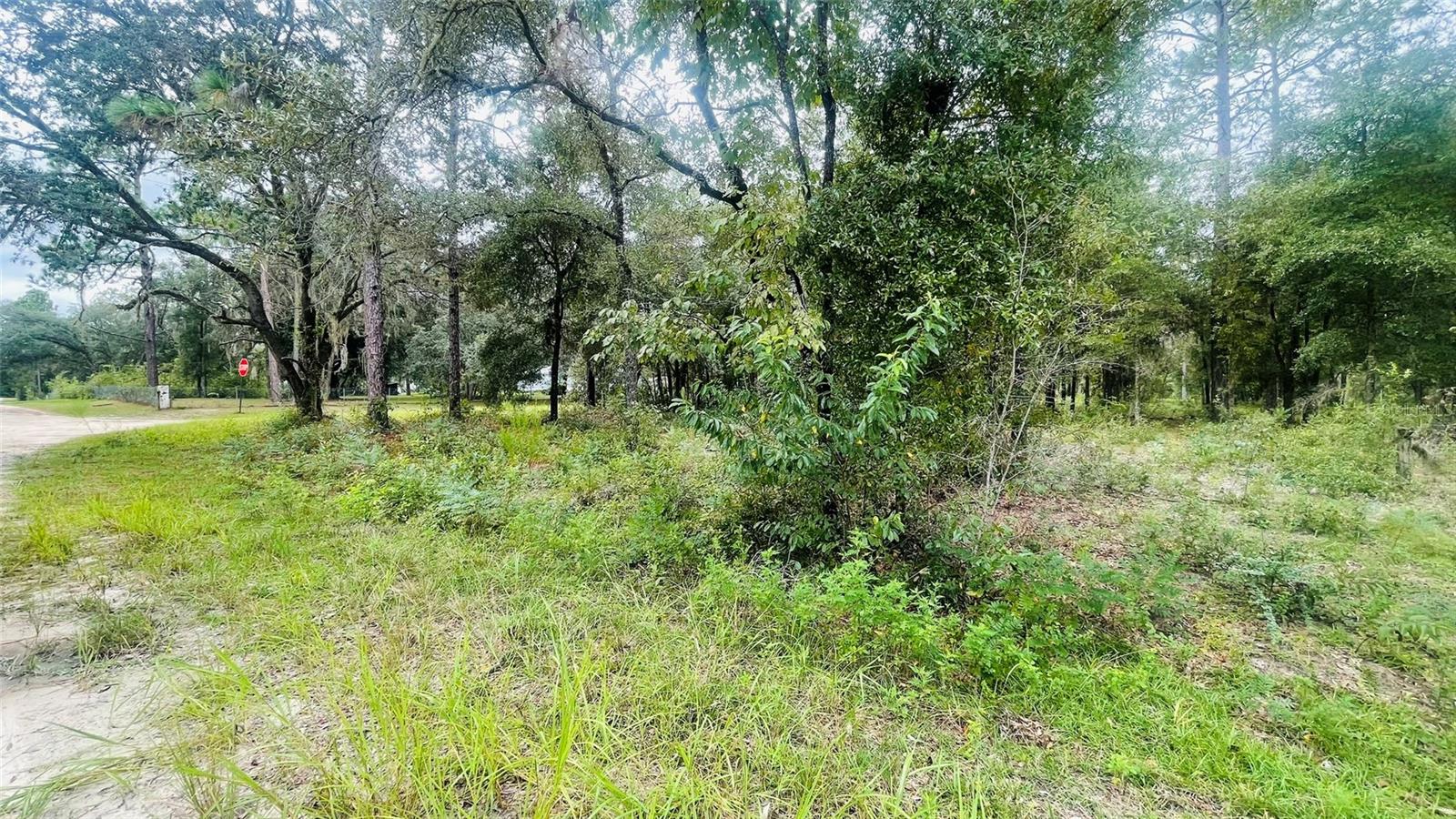 Image 3 of 6 For Lot 40 102nd Court