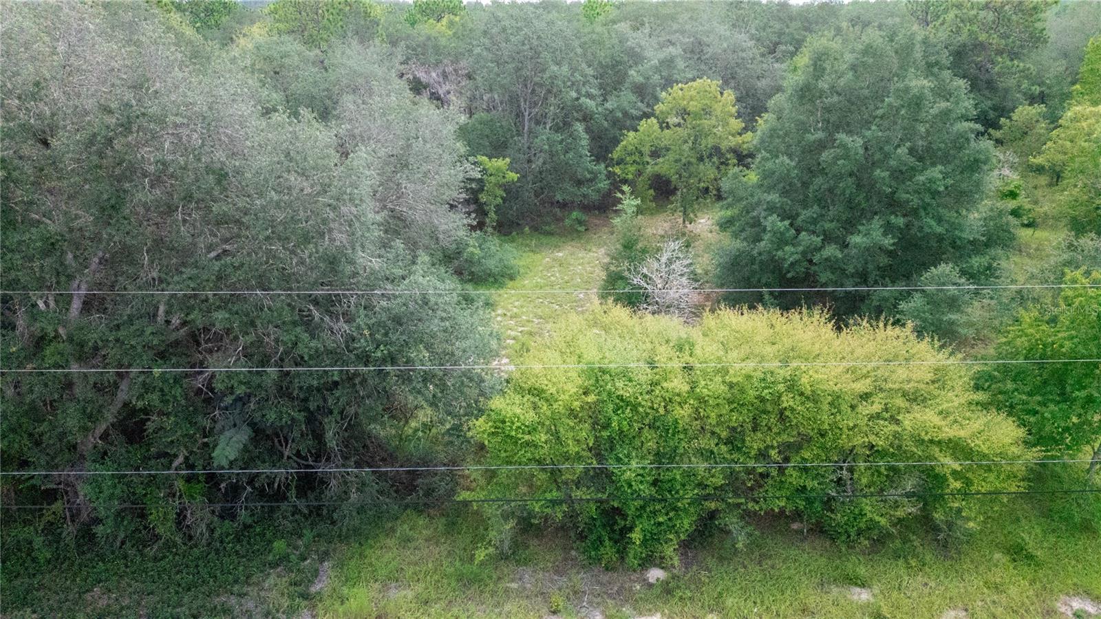 Image 7 of 8 For 7697 Colorado Avenue