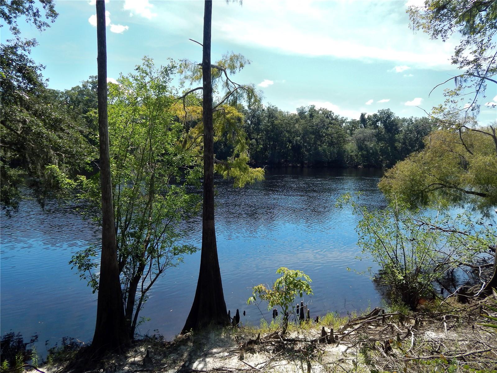 Details for 1357 930th Street, OLD TOWN, FL 32680