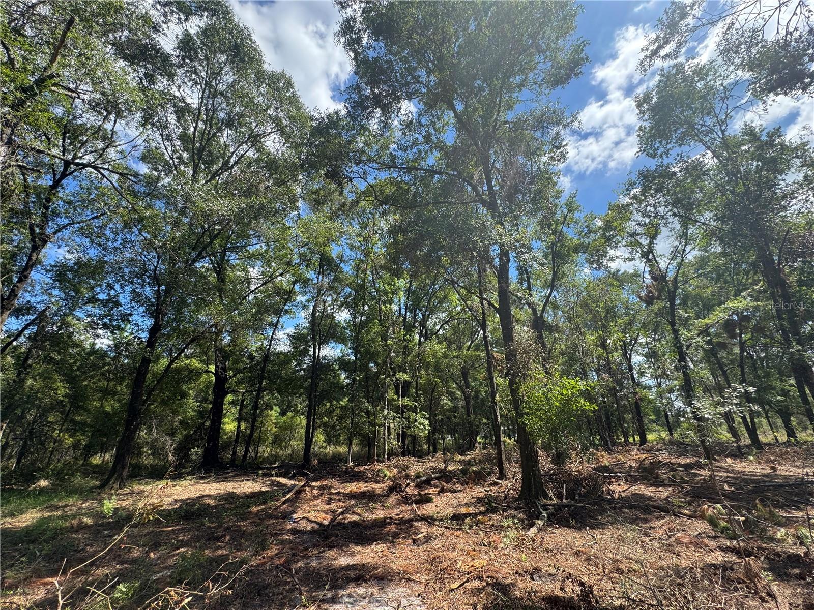 Image 13 of 22 For Tbd Cr 1475 Road