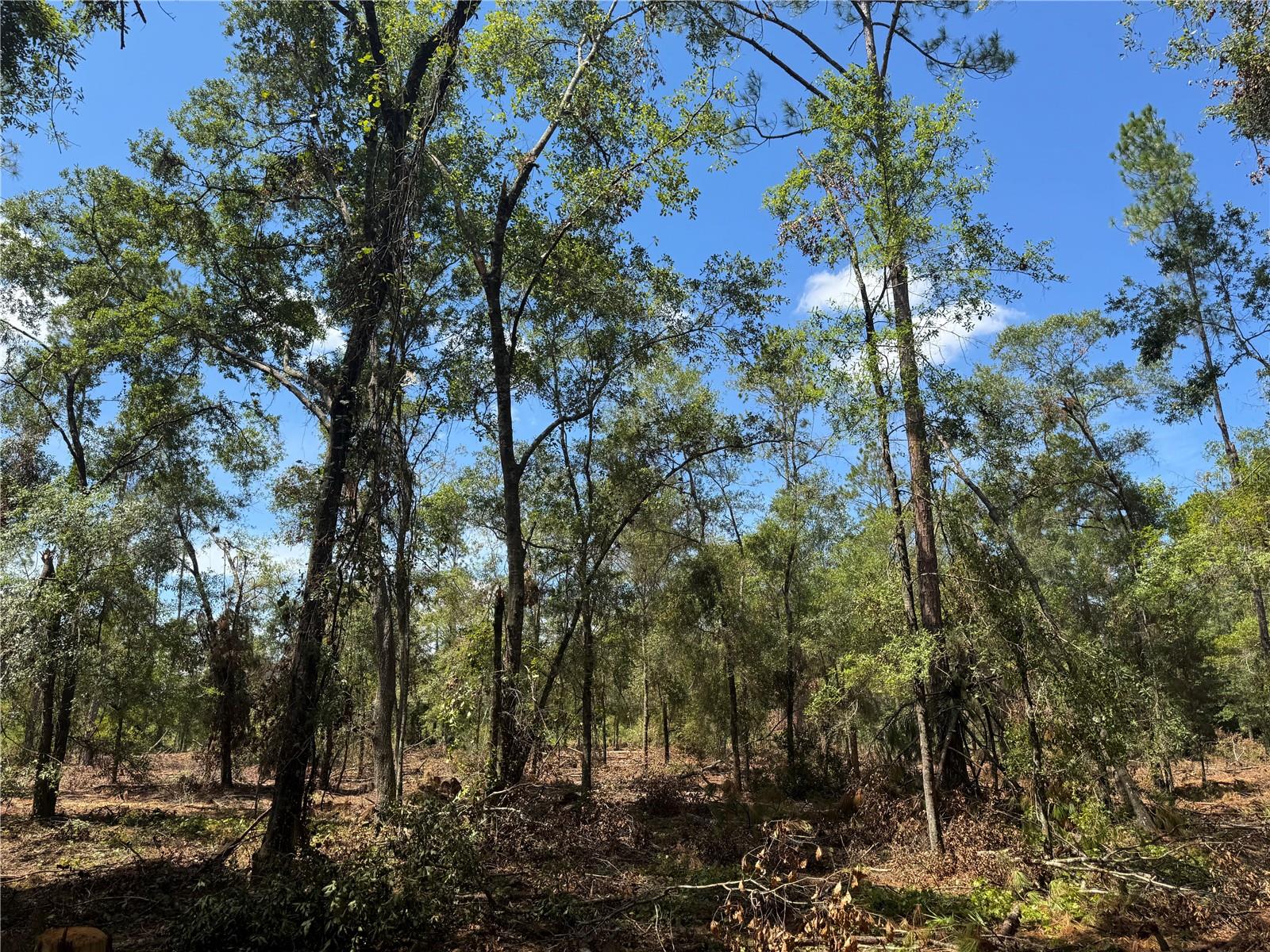 Image 14 of 22 For Tbd Cr 1475 Road