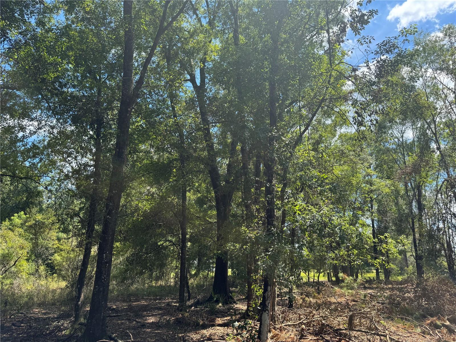 Image 15 of 22 For Tbd Cr 1475 Road