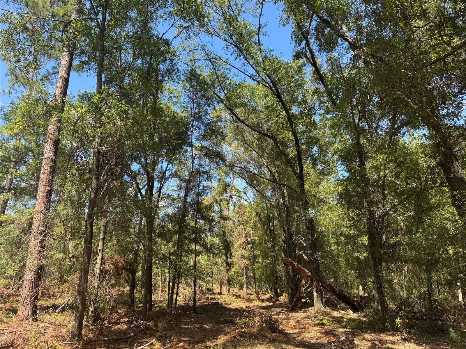 Image 18 of 22 For Tbd Cr 1475 Road