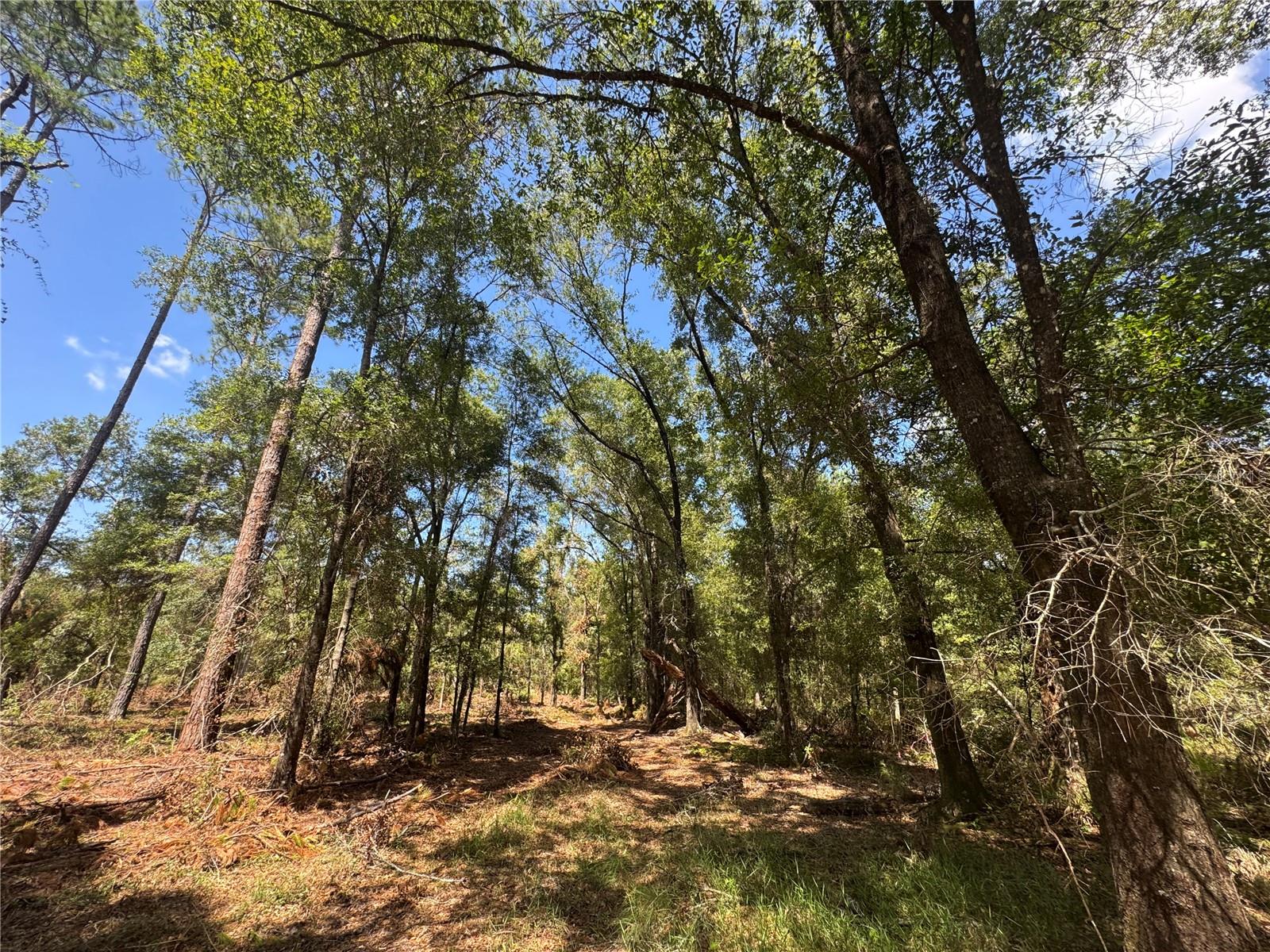 Image 19 of 22 For Tbd Cr 1475 Road