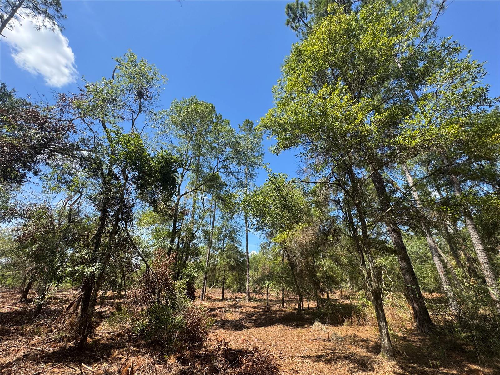 Image 20 of 22 For Tbd Cr 1475 Road