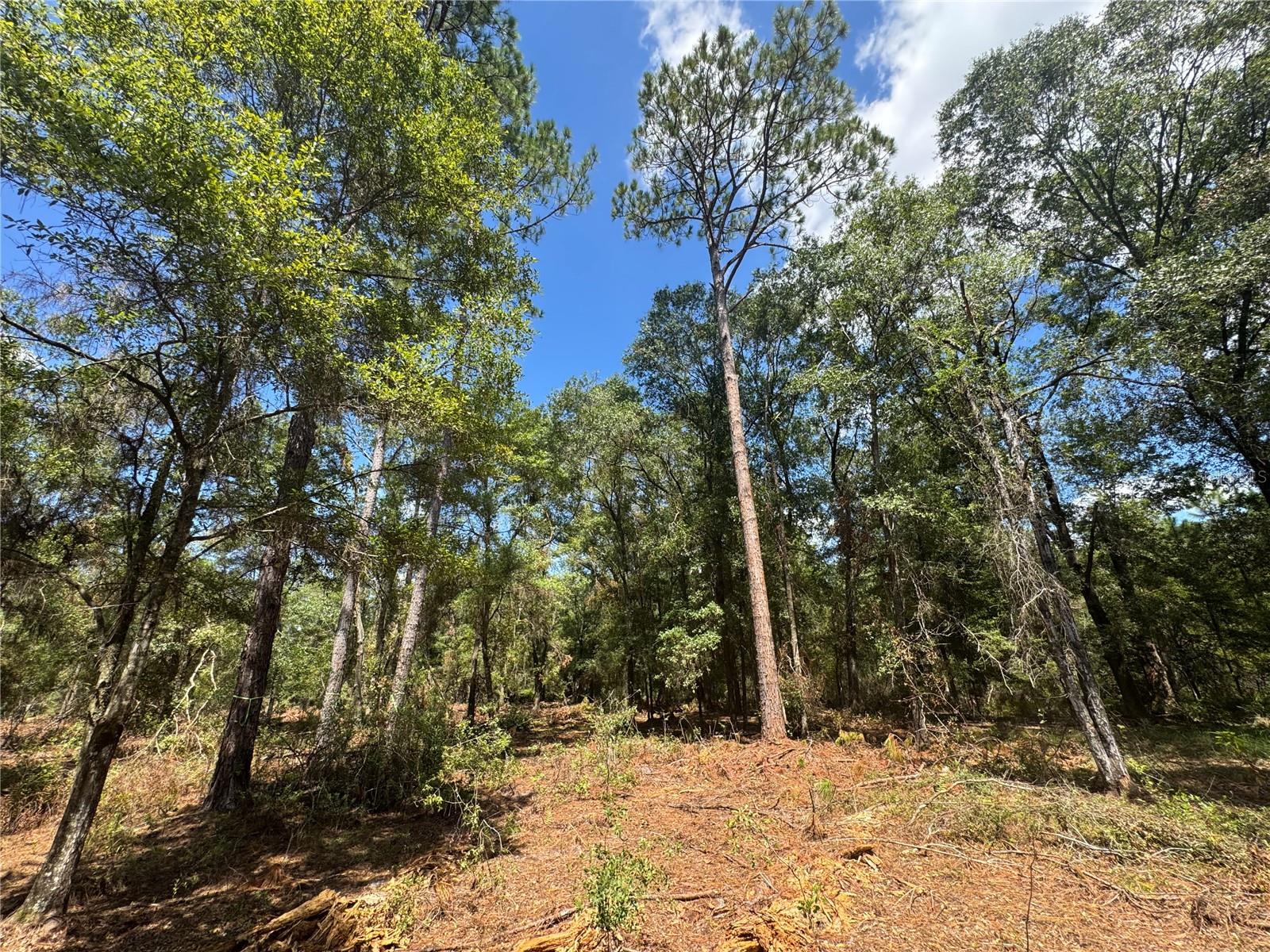 Image 21 of 22 For Tbd Cr 1475 Road