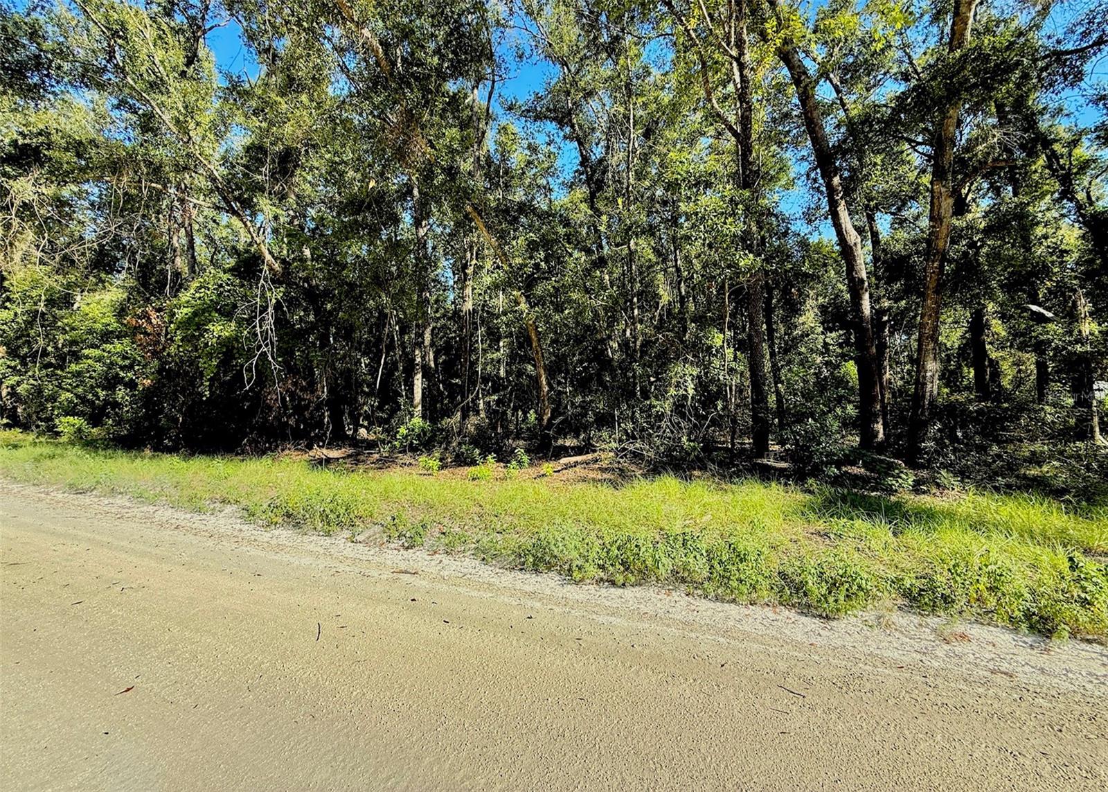 Details for 0000 282 Terrace, BRANFORD, FL 32008
