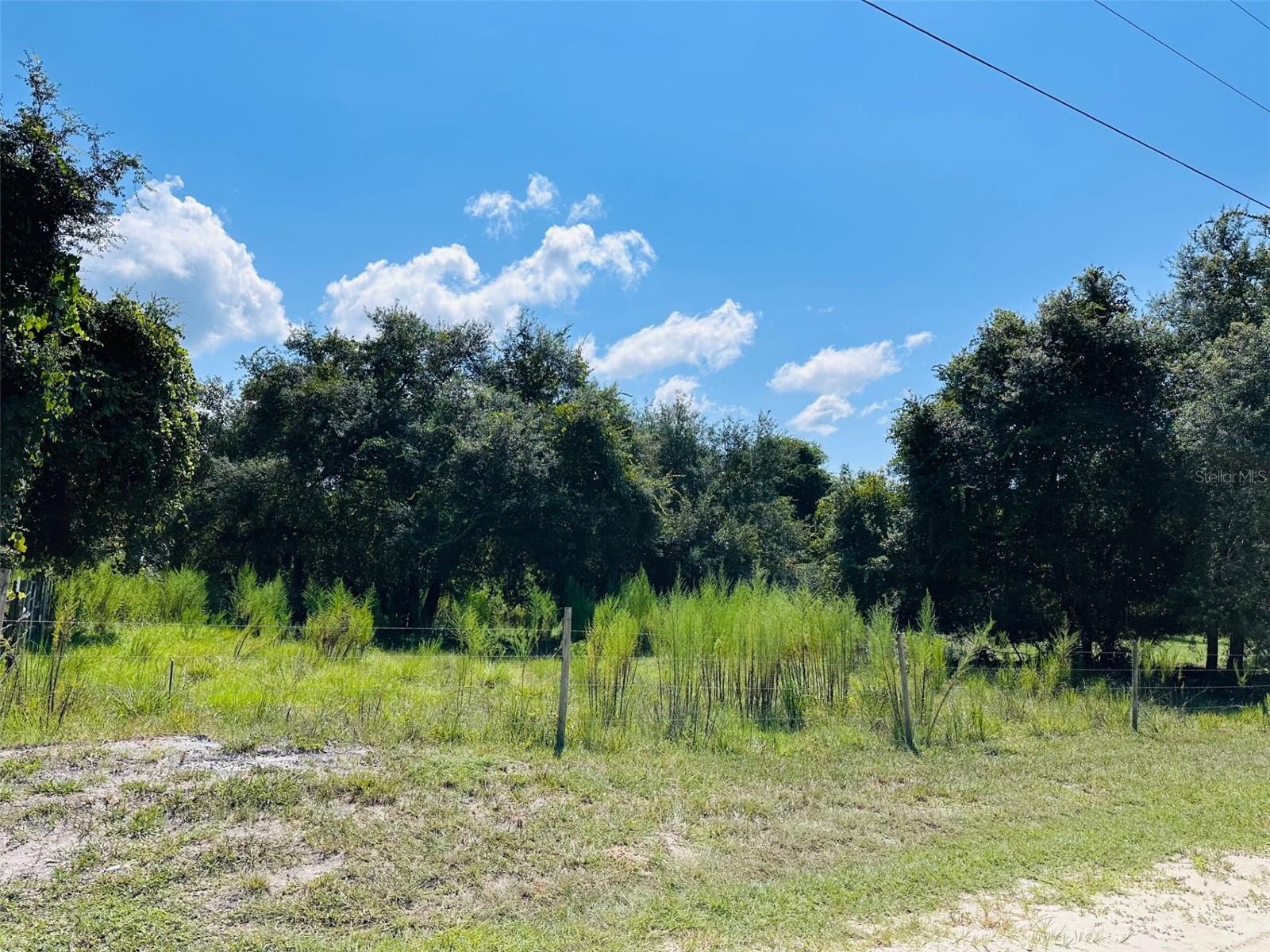 Details for 00 100 Avenue, CHIEFLAND, FL 32626