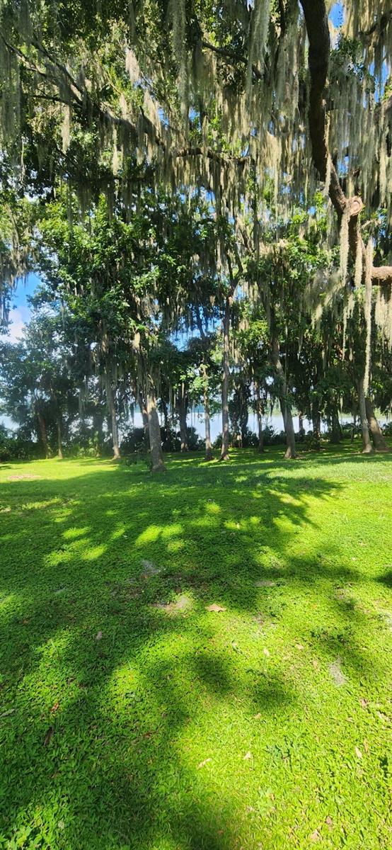 Image 19 of 25 For 2824 14th Drive