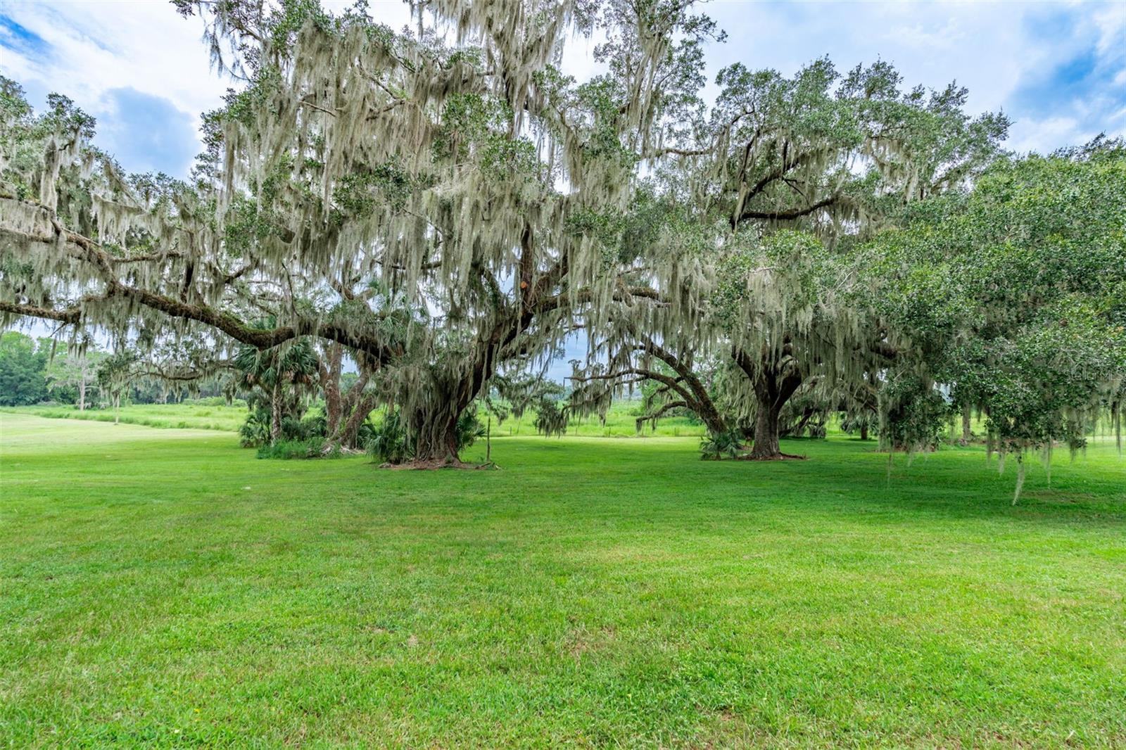 Image 8 of 20 For 3897 69th Avenue