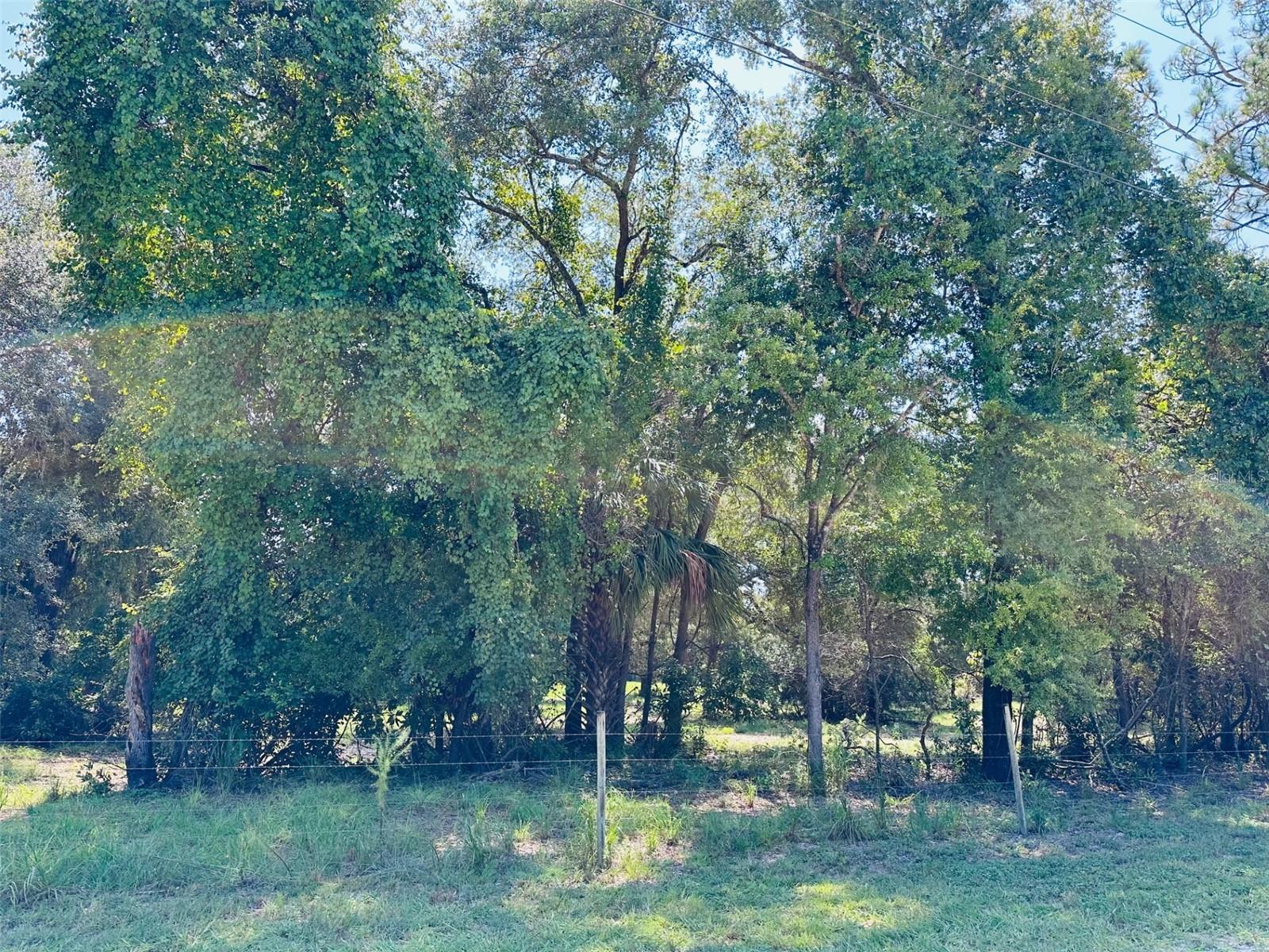 Details for 0 100 Avenue, CHIEFLAND, FL 32626