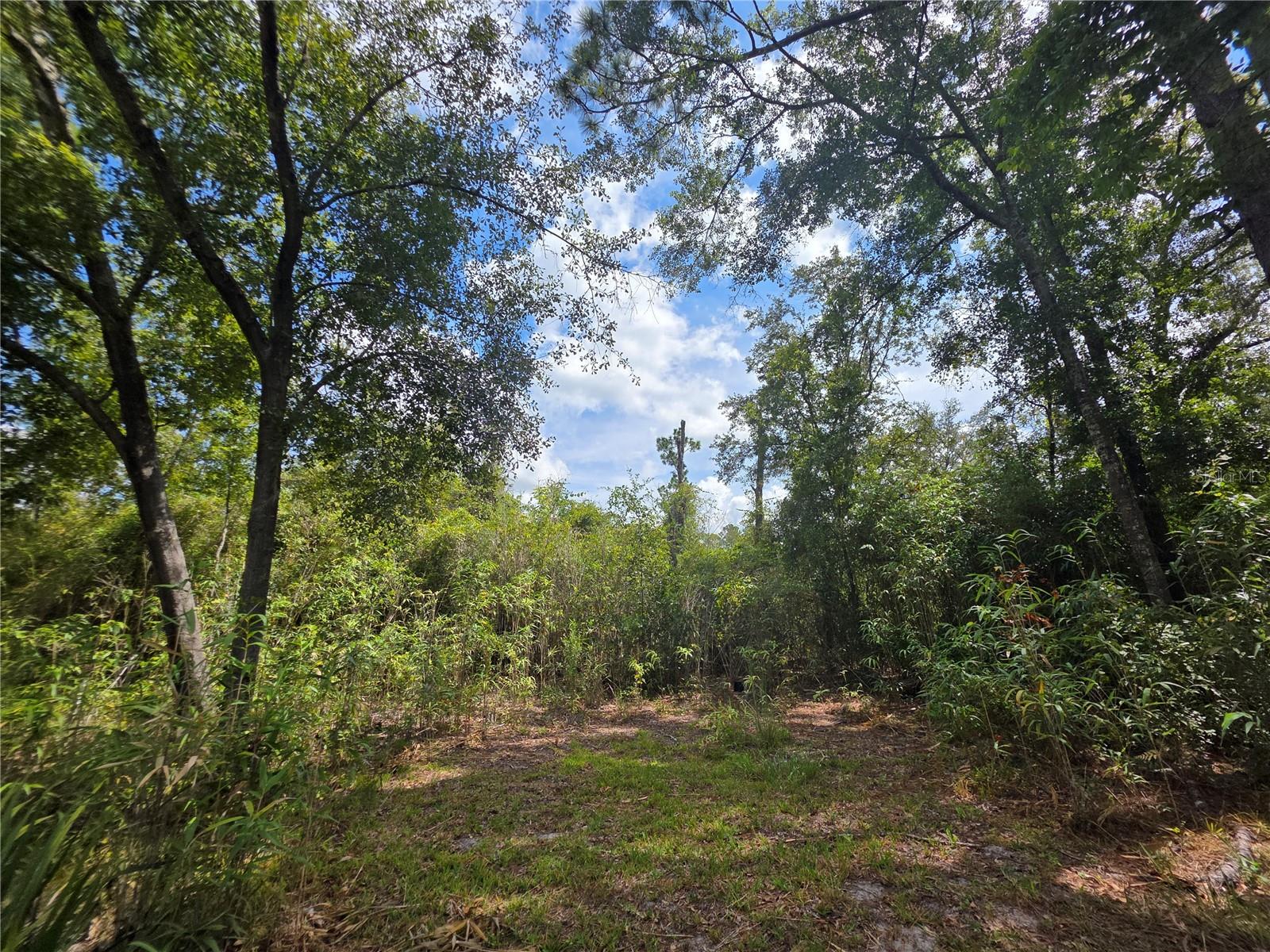 Image 15 of 16 For 13117 County Road 225