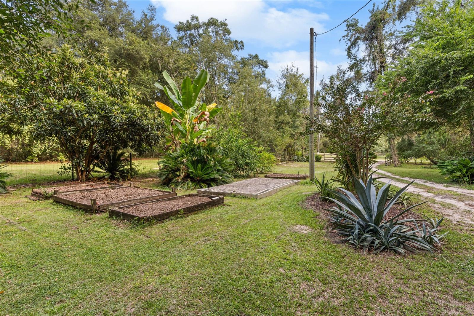 Image 4 of 38 For 27904 114 Place