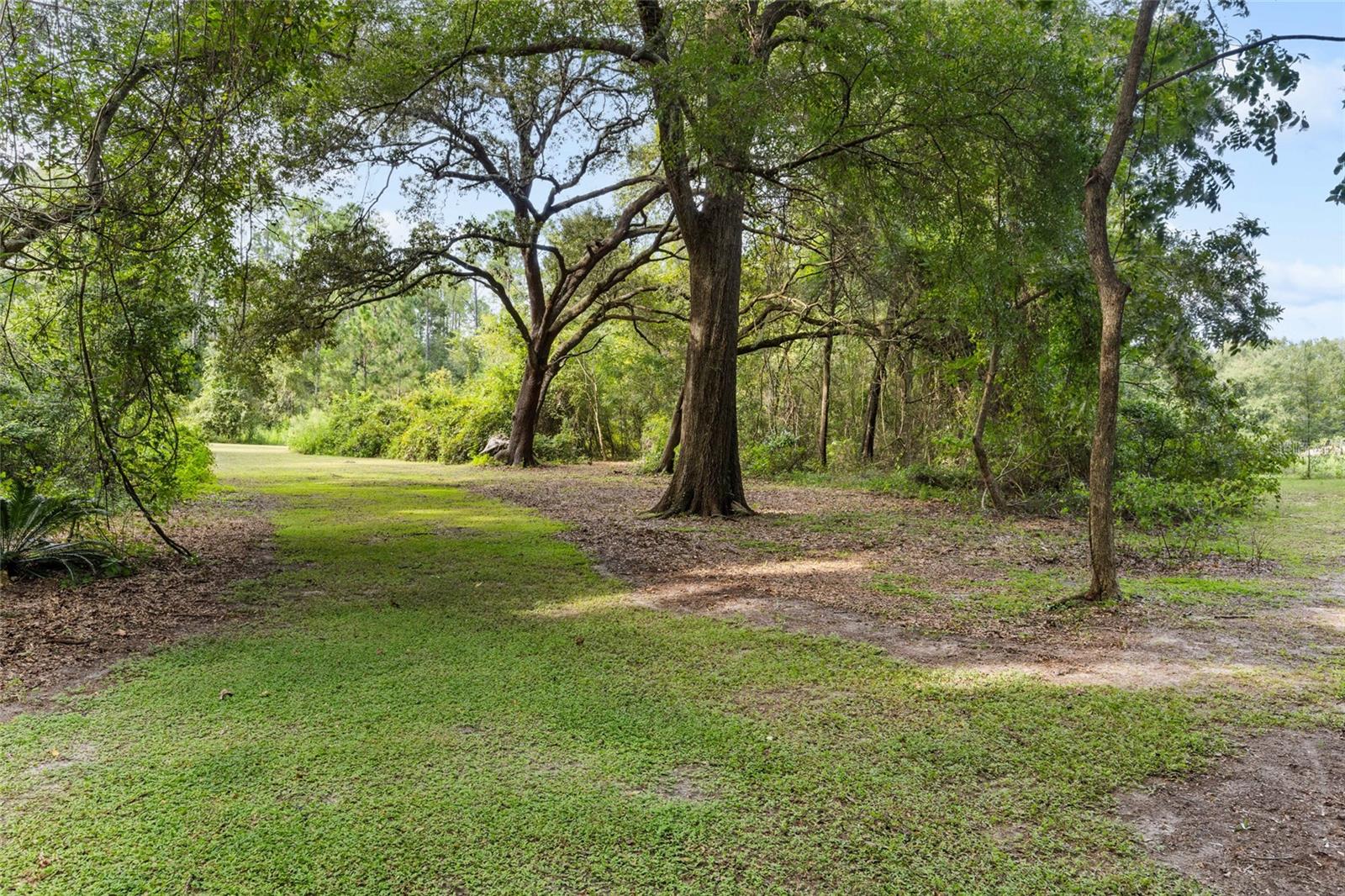 Image 5 of 38 For 27904 114 Place