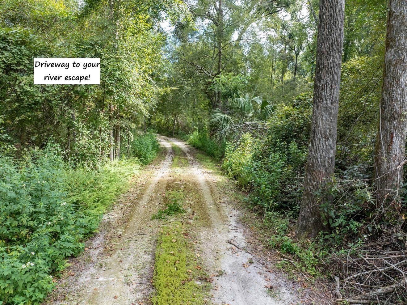Image 55 of 68 For 22205 County Road 349