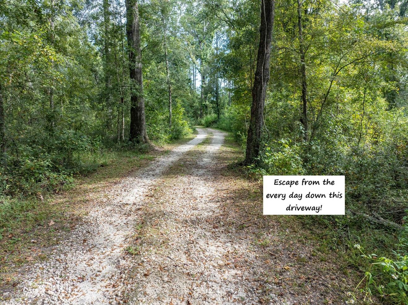 Image 56 of 68 For 22205 County Road 349