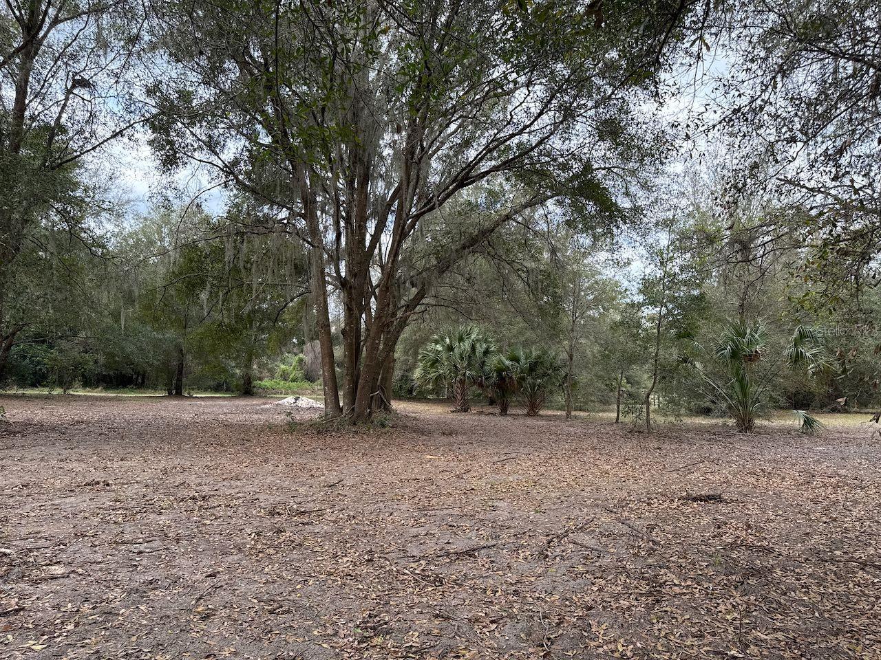 Image 21 of 27 For 000 184th Place