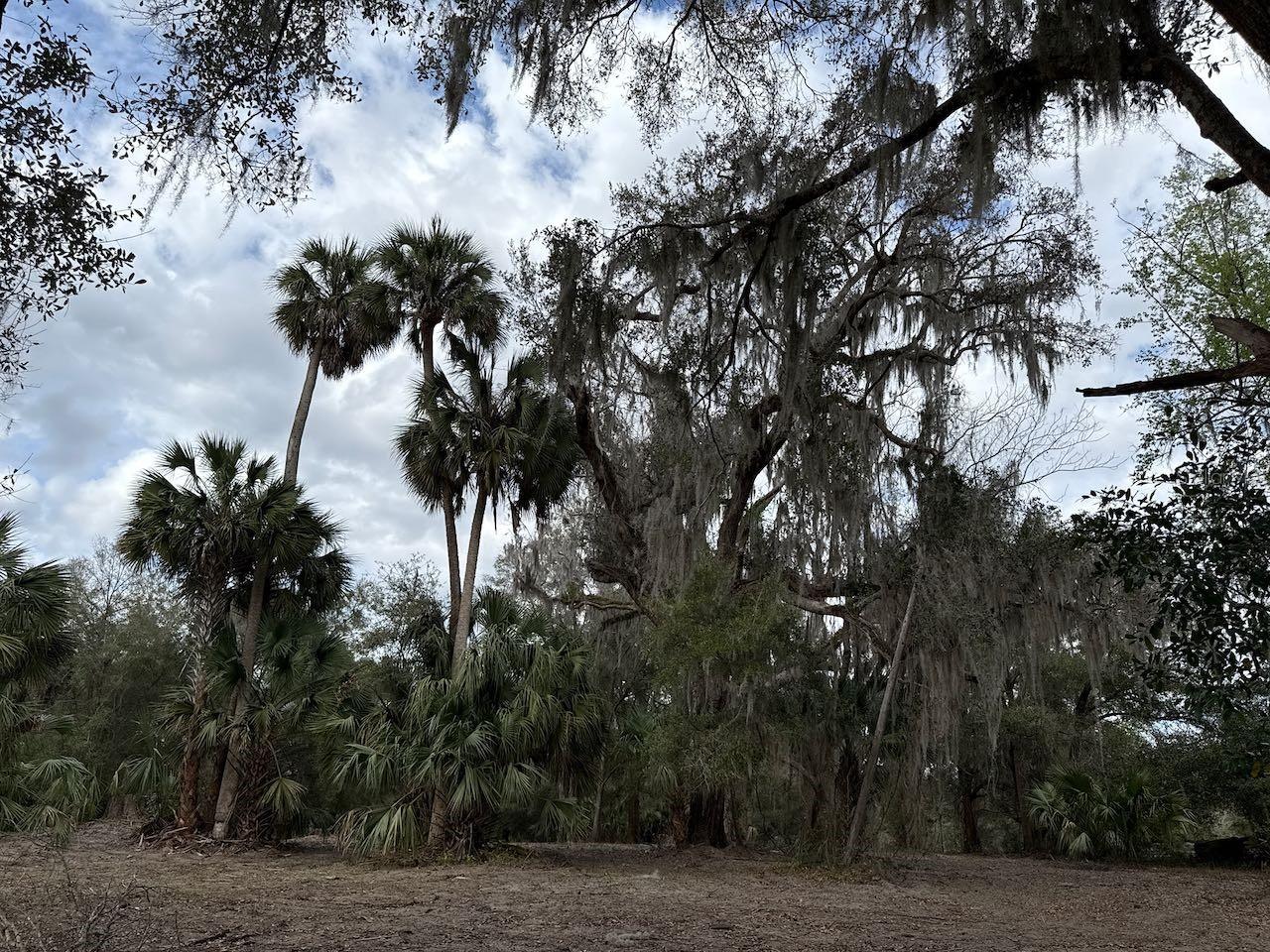 Image 22 of 27 For 000 184th Place