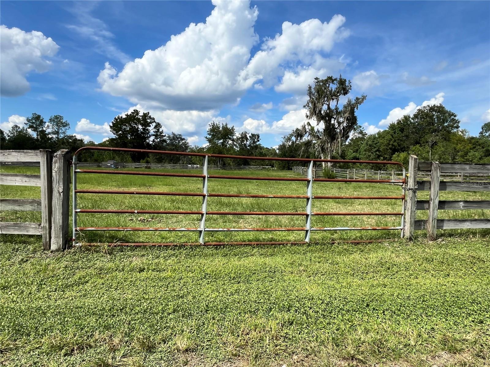Image 14 of 63 For 17411 County Road 1471