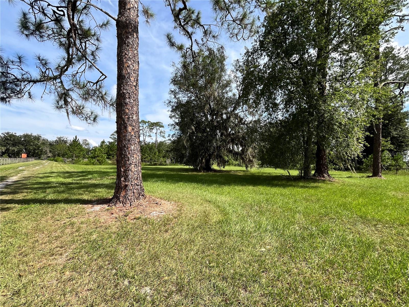 Image 17 of 63 For 17411 County Road 1471