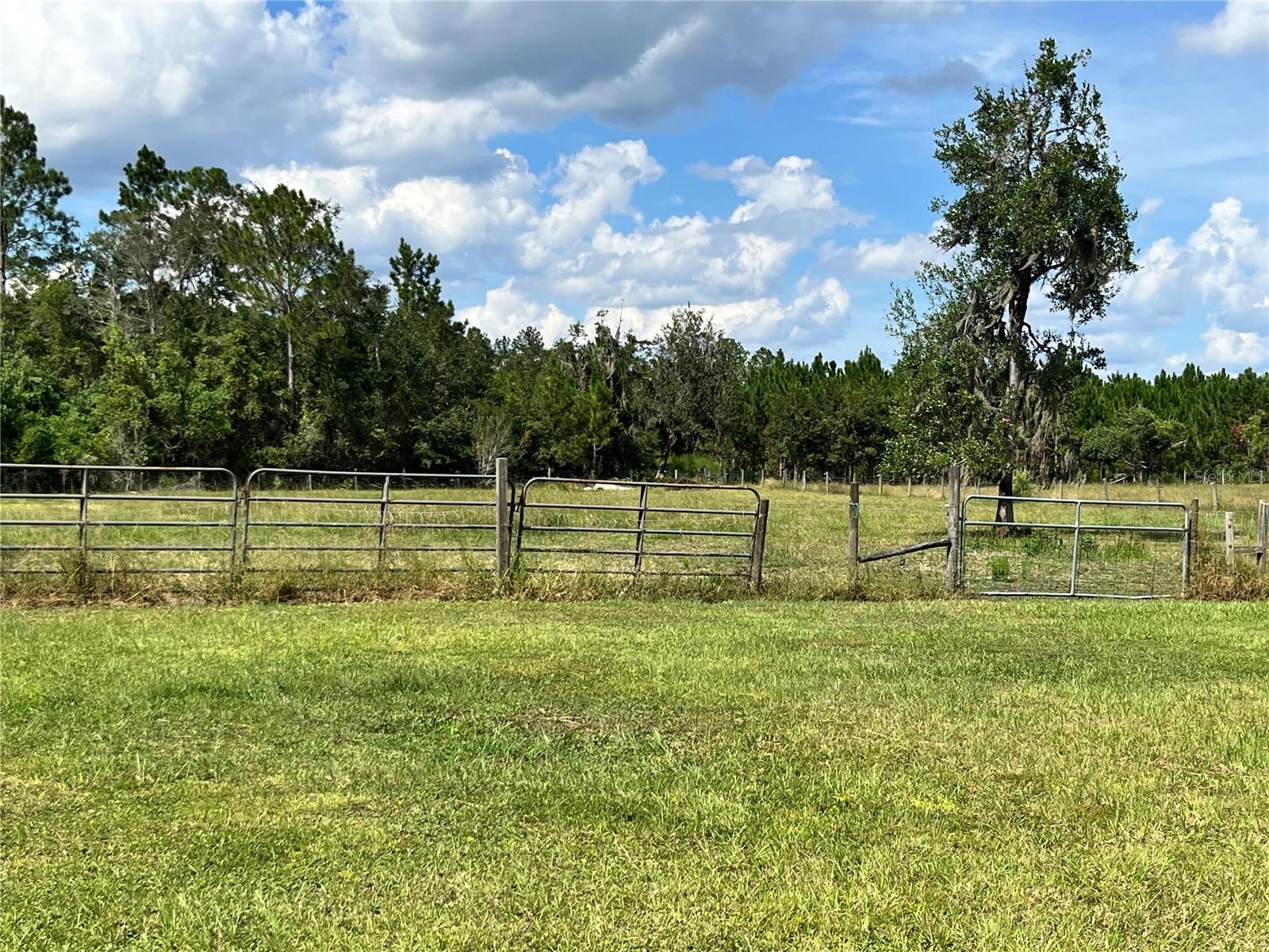 Image 24 of 63 For 17411 County Road 1471