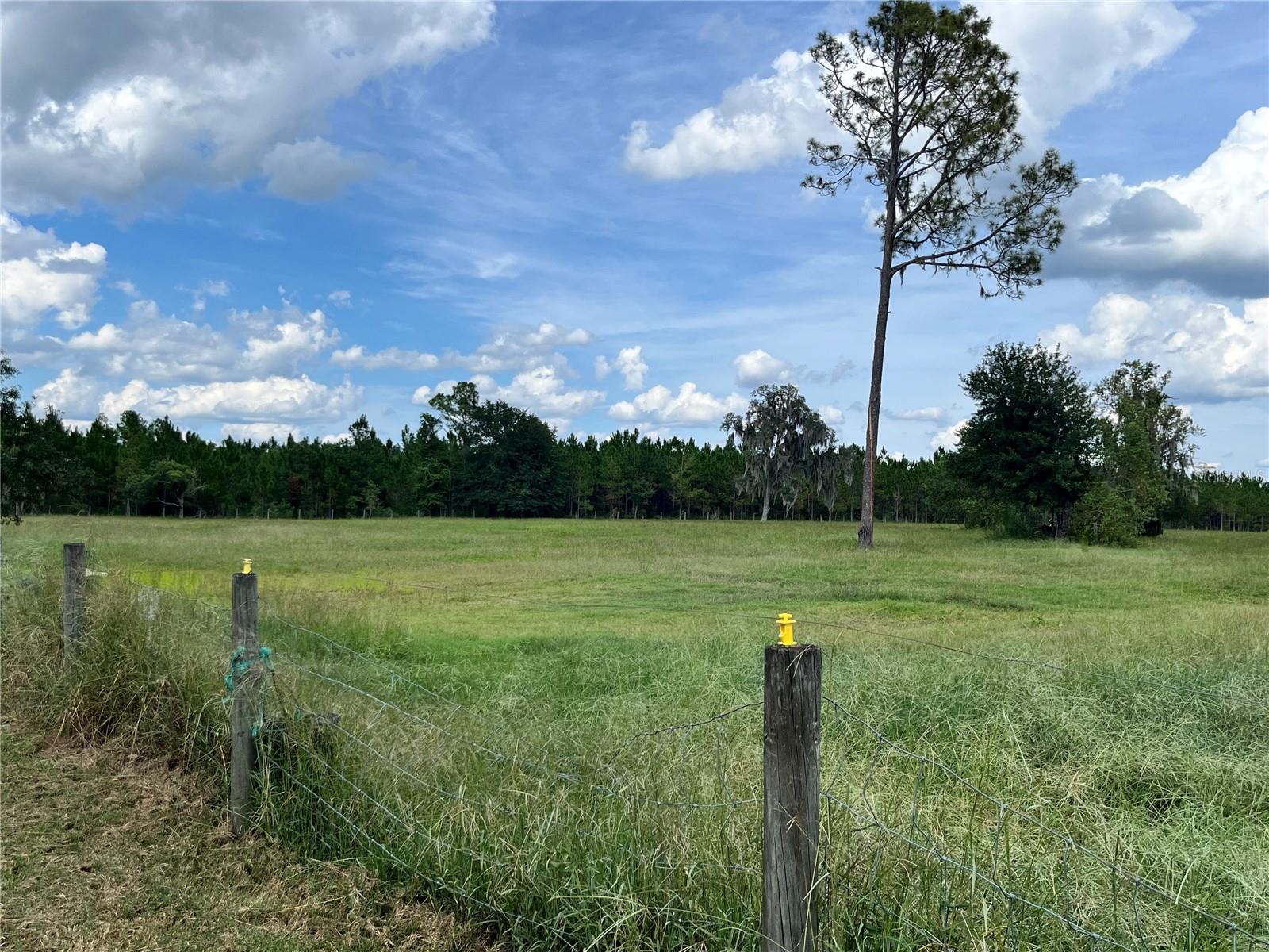 Image 37 of 63 For 17411 County Road 1471