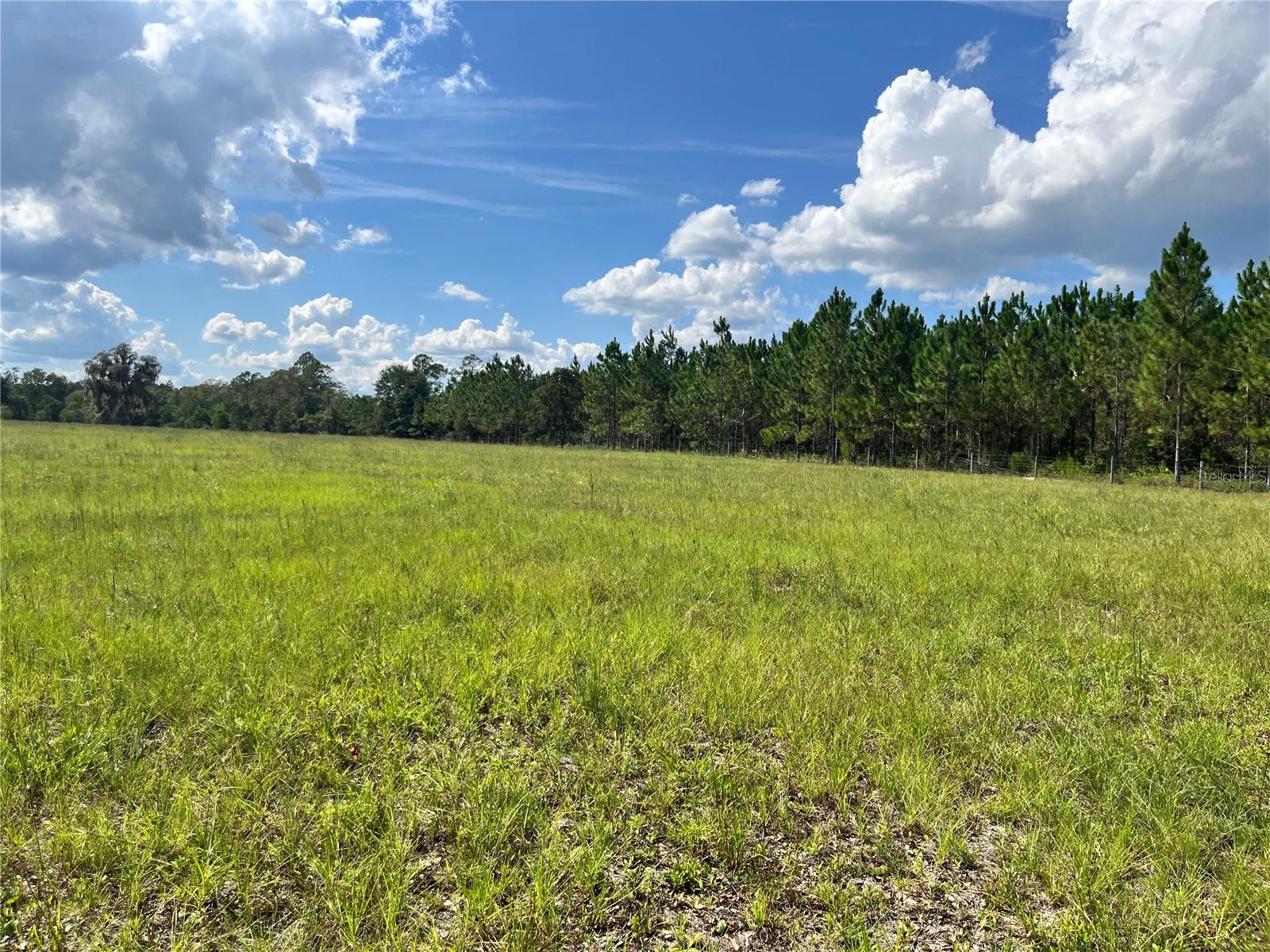 Image 38 of 63 For 17411 County Road 1471