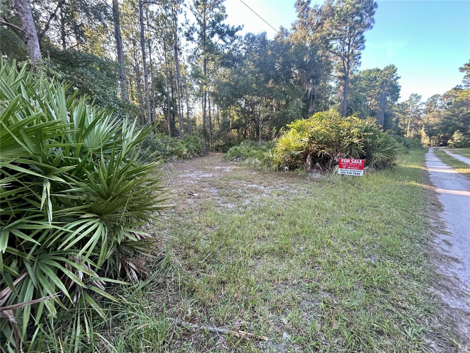 Details for 000000 225th Street, HAWTHORNE, FL 32640