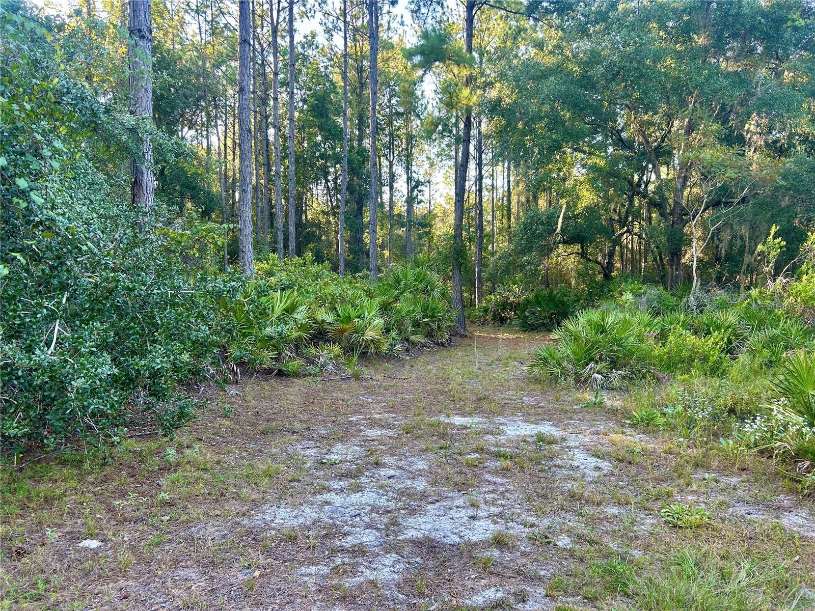 Image 2 of 6 For 000000 225th Street