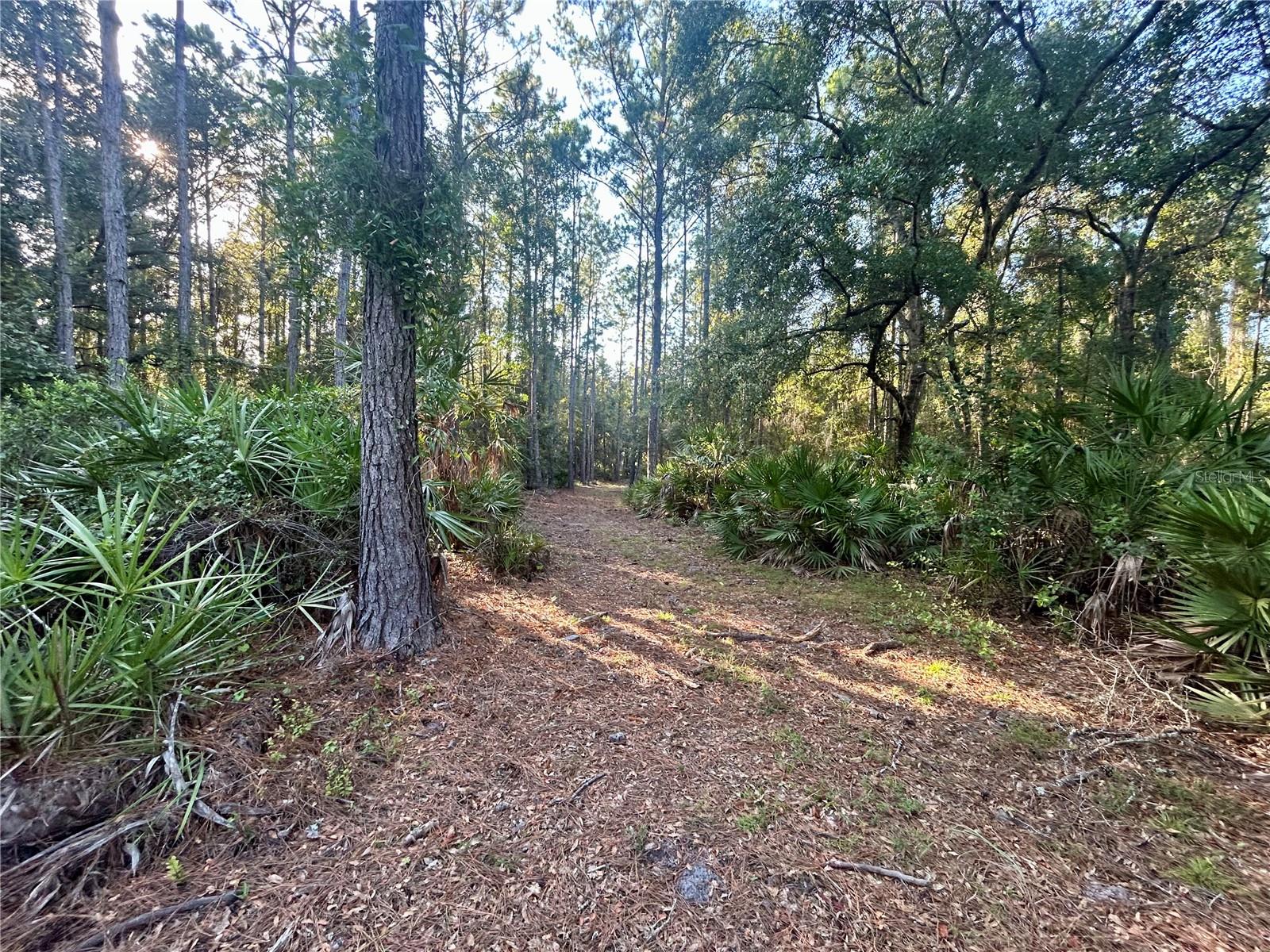 Image 3 of 6 For 000000 225th Street