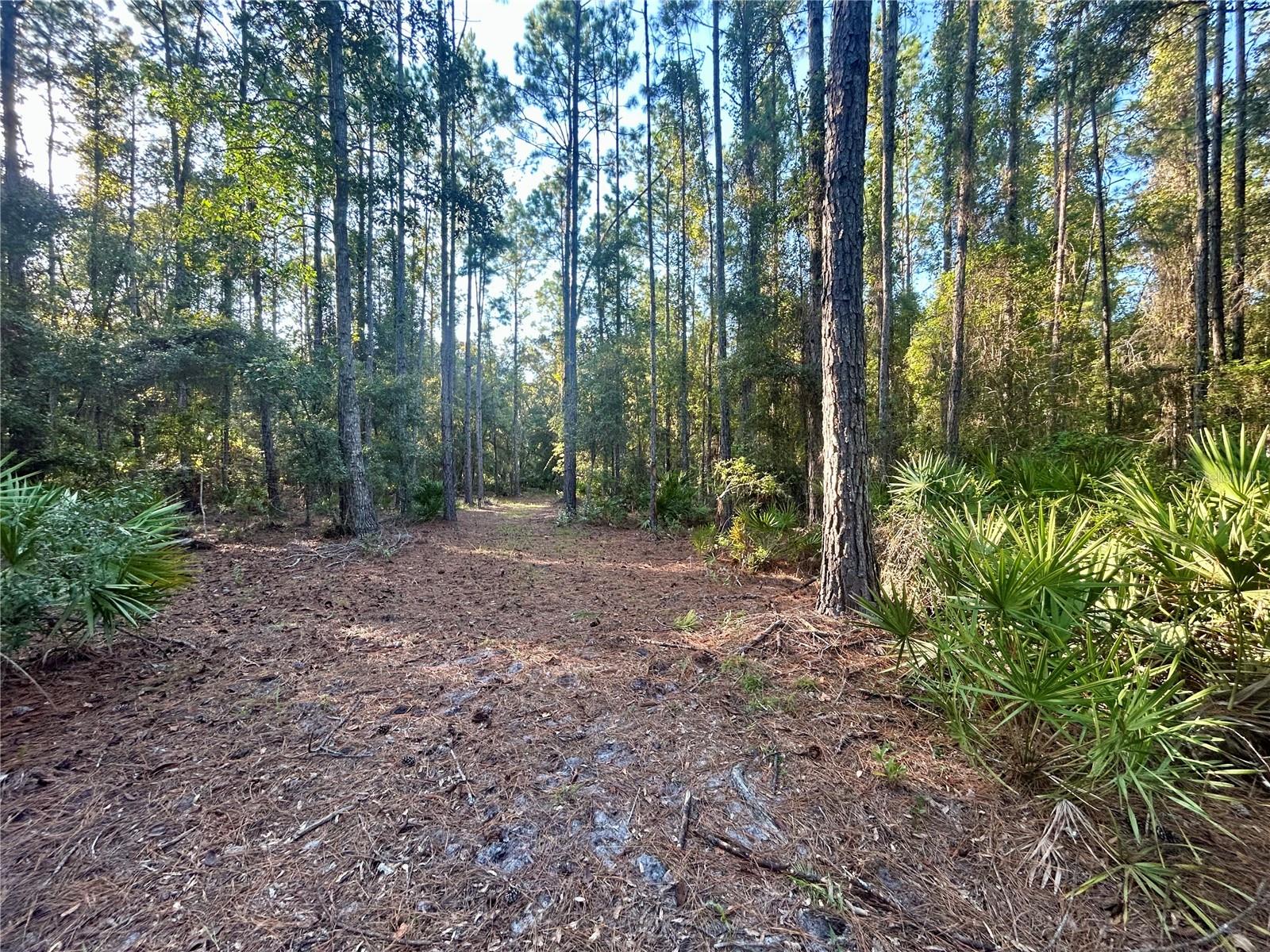 Image 4 of 6 For 000000 225th Street