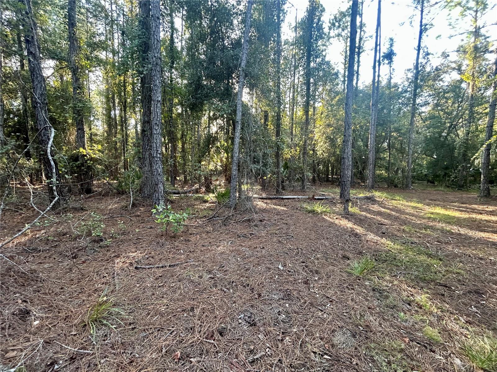 Image 5 of 6 For 000000 225th Street