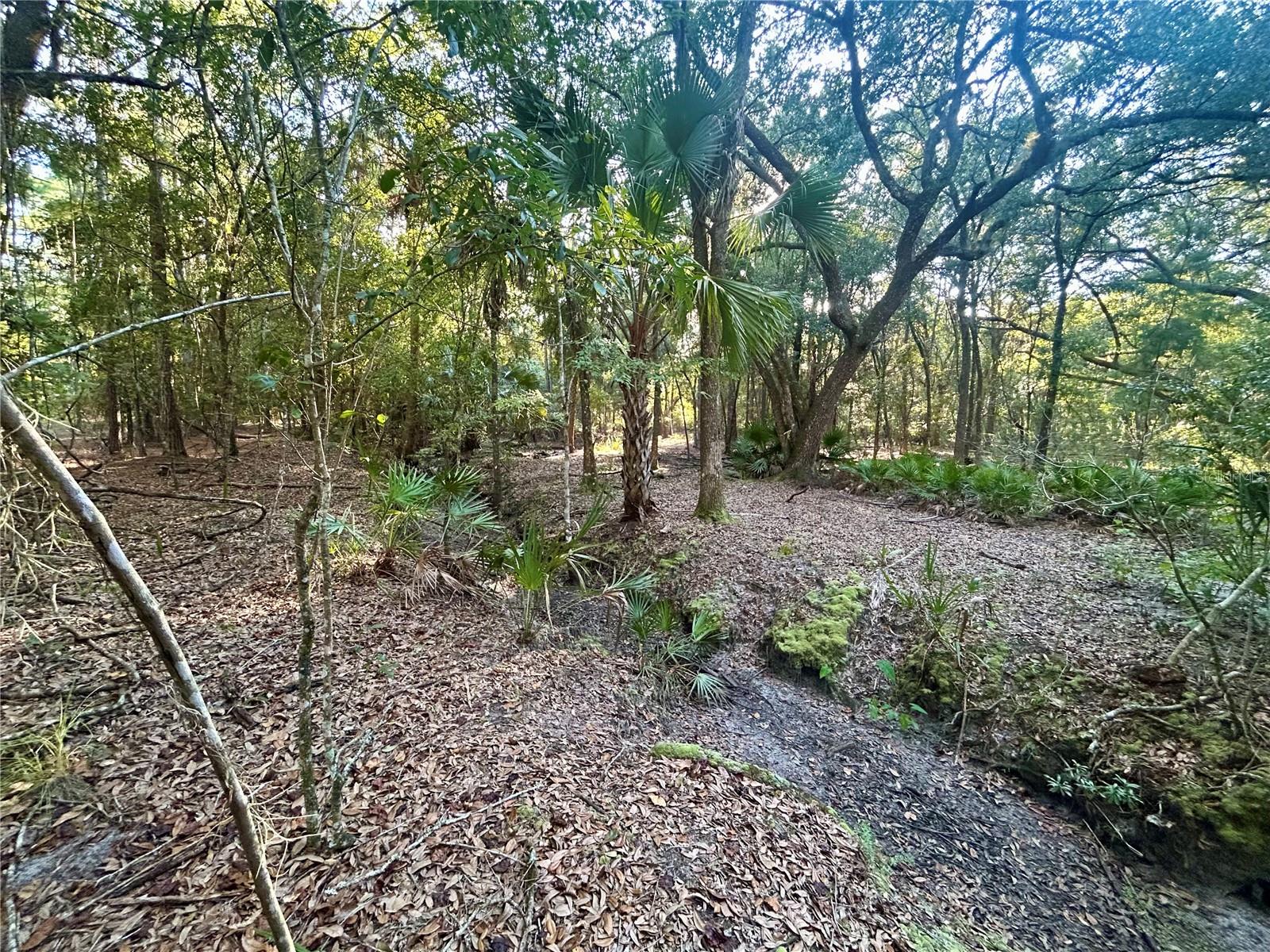 Image 6 of 6 For 000000 225th Street