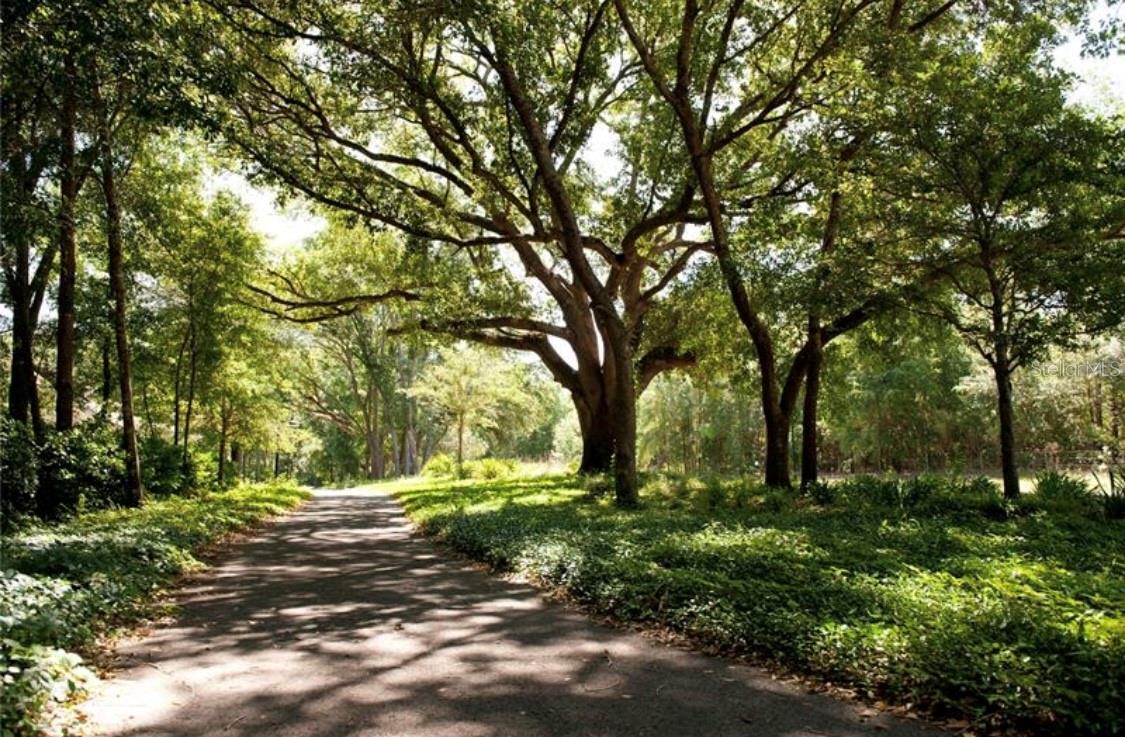 Image 39 of 40 For 12830 3rd Place