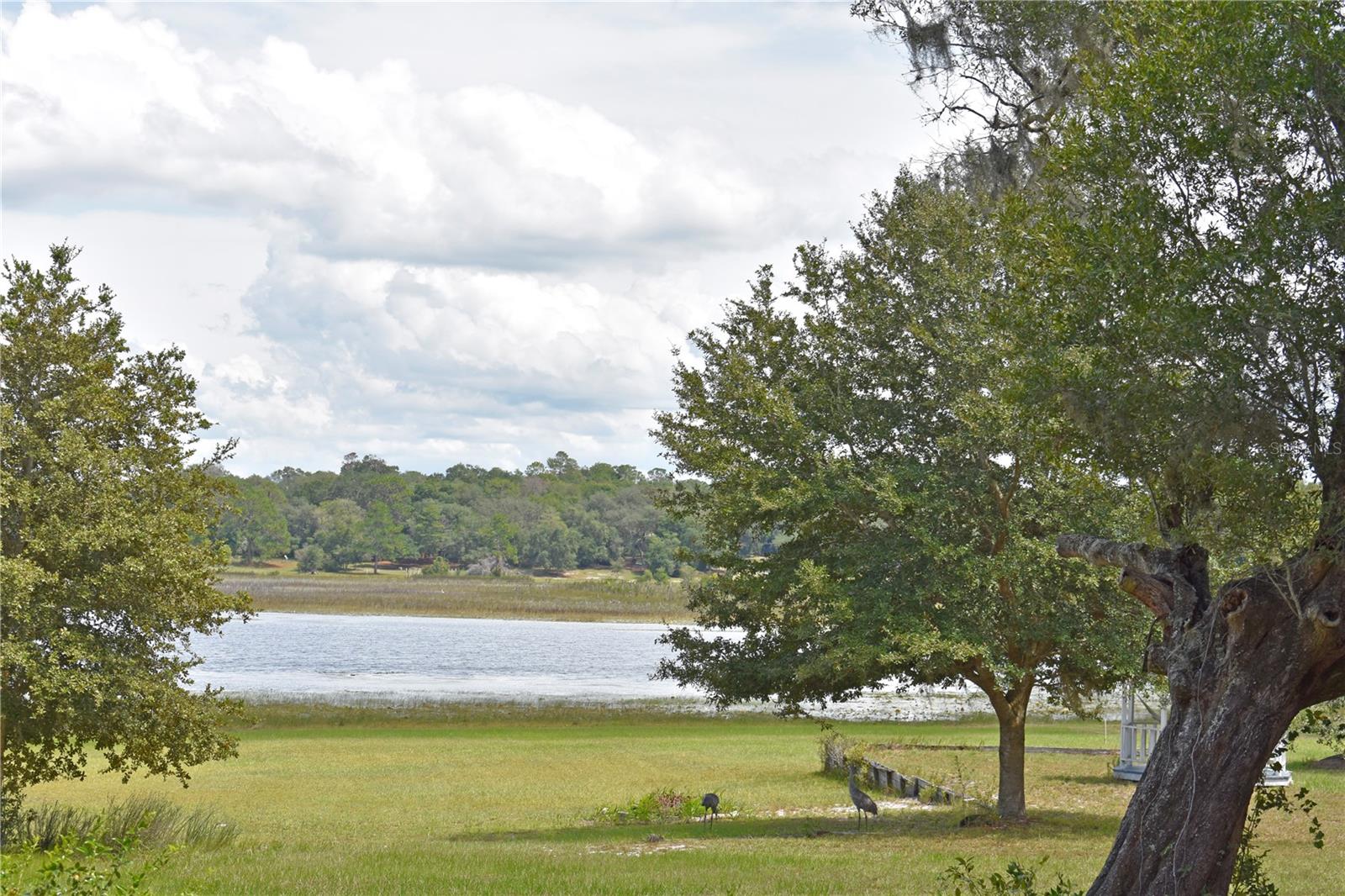 Image 30 of 30 For 148 Swan Lake Drive