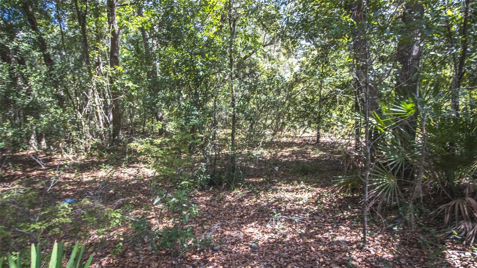 Image 10 of 15 For 23172 120th Place