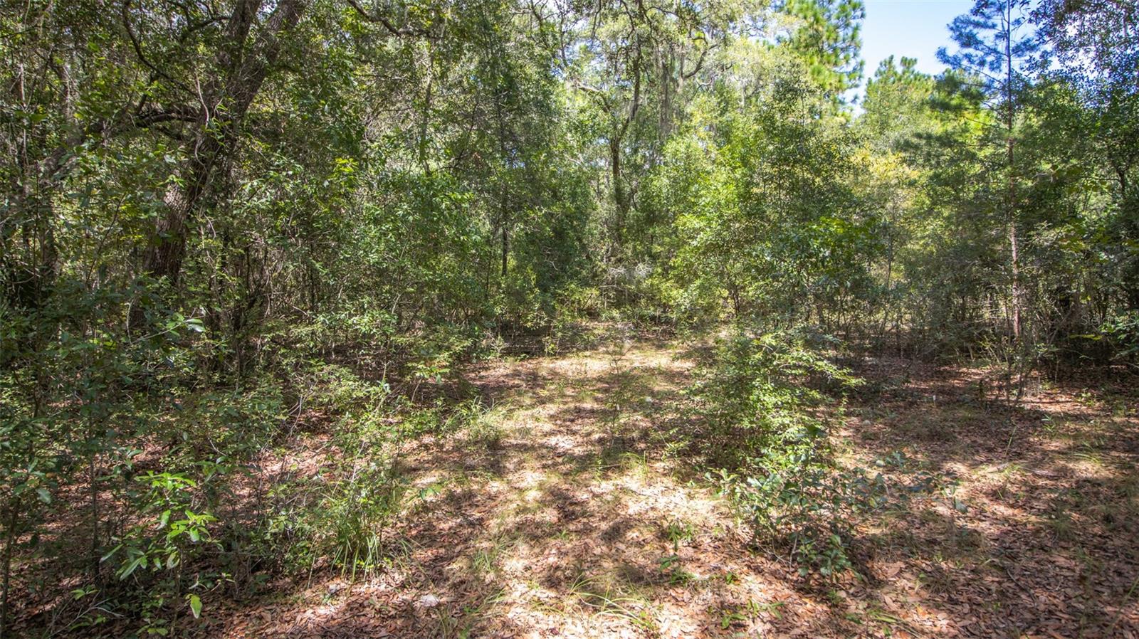 Image 11 of 15 For 23172 120th Place