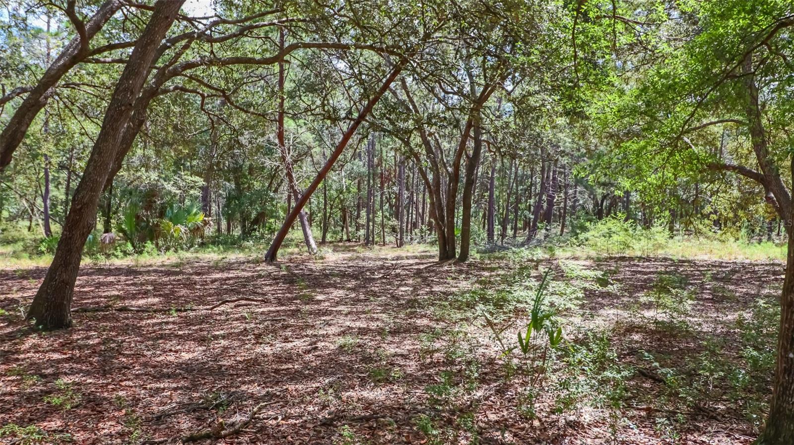 Image 13 of 15 For 23172 120th Place