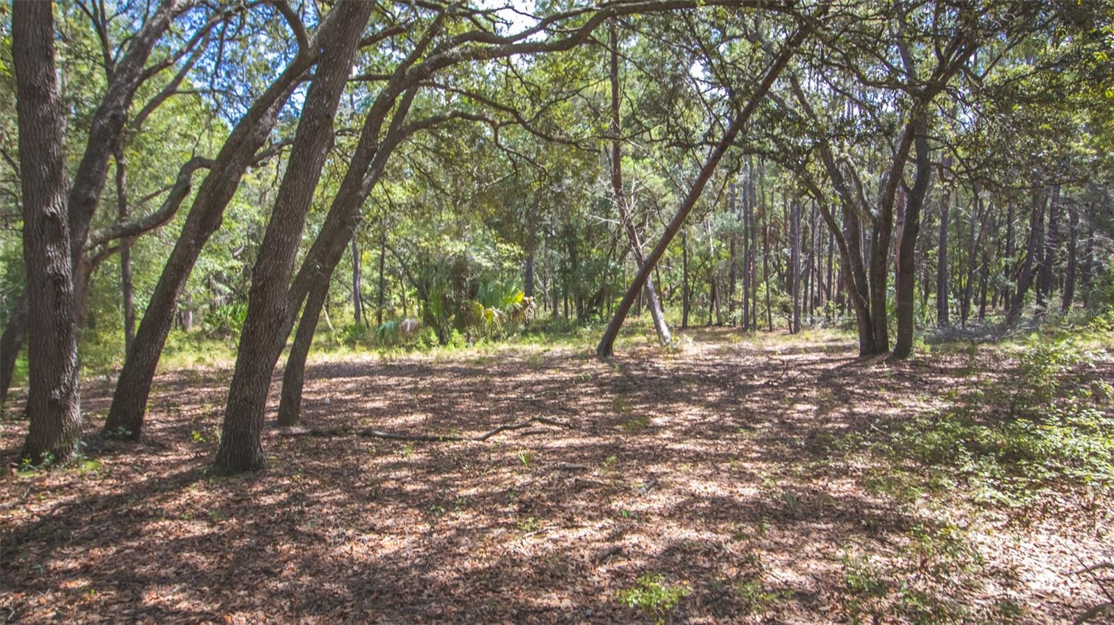 Image 14 of 15 For 23172 120th Place