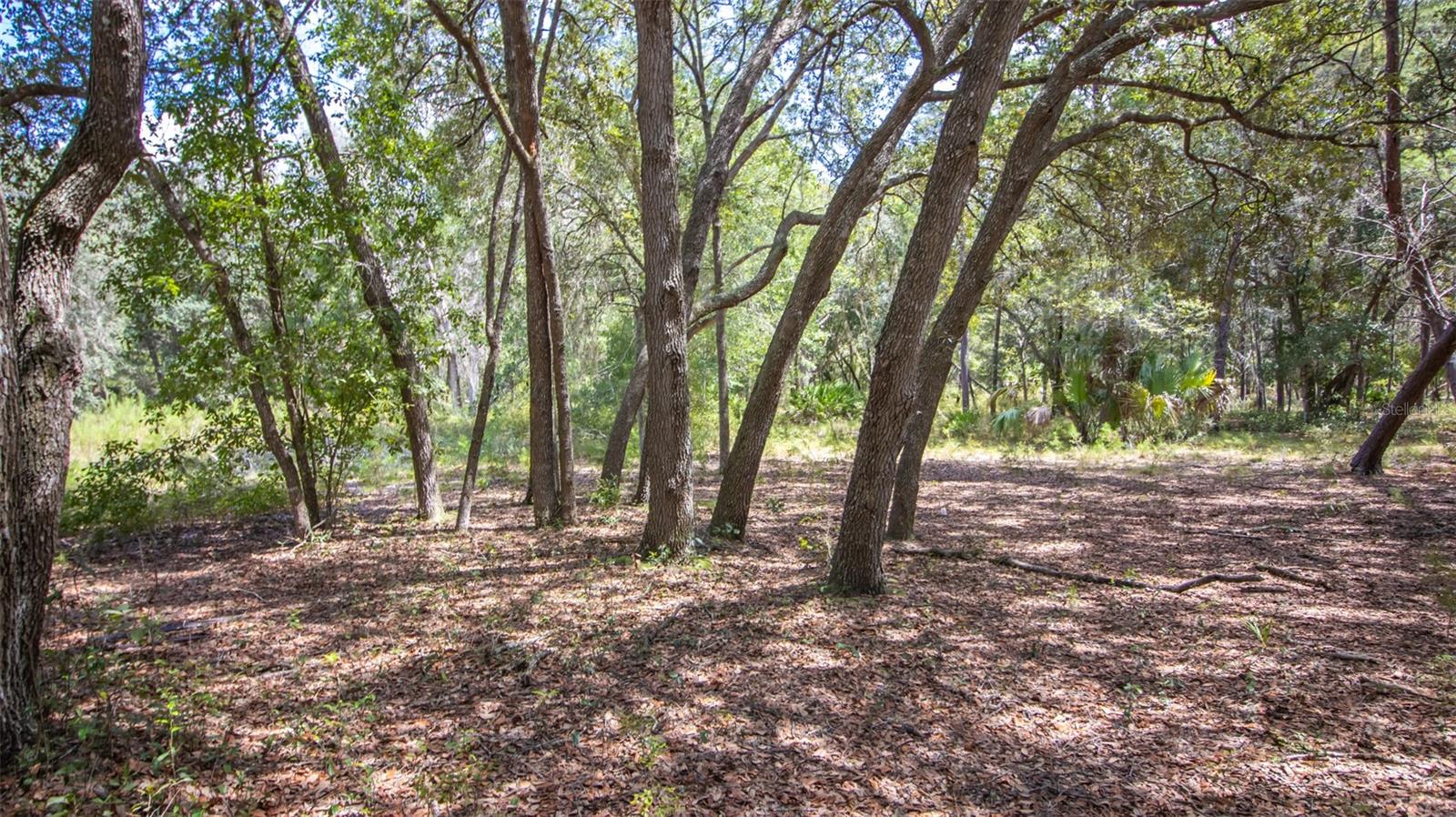 Image 15 of 15 For 23172 120th Place