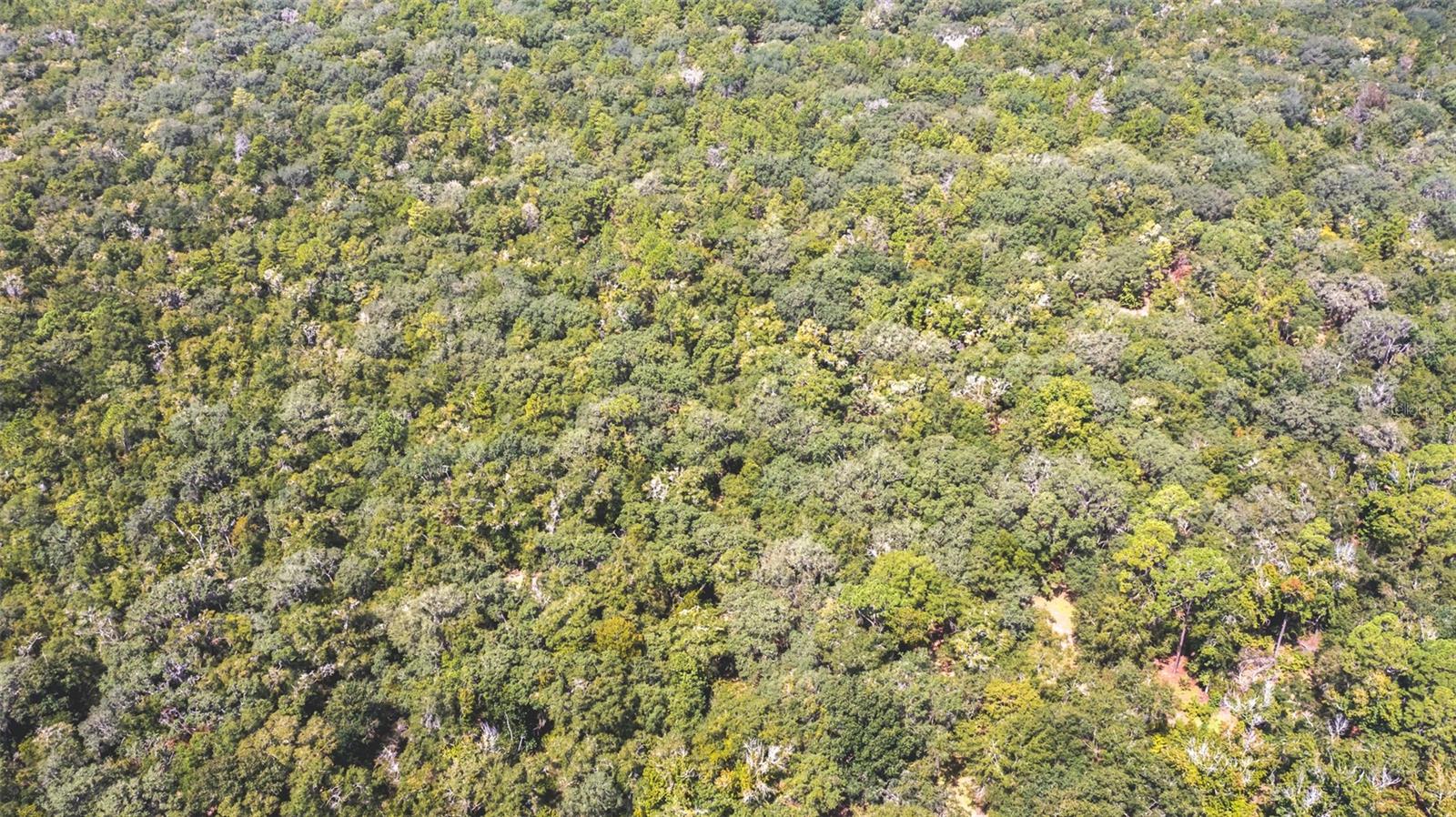 Image 5 of 15 For 23172 120th Place